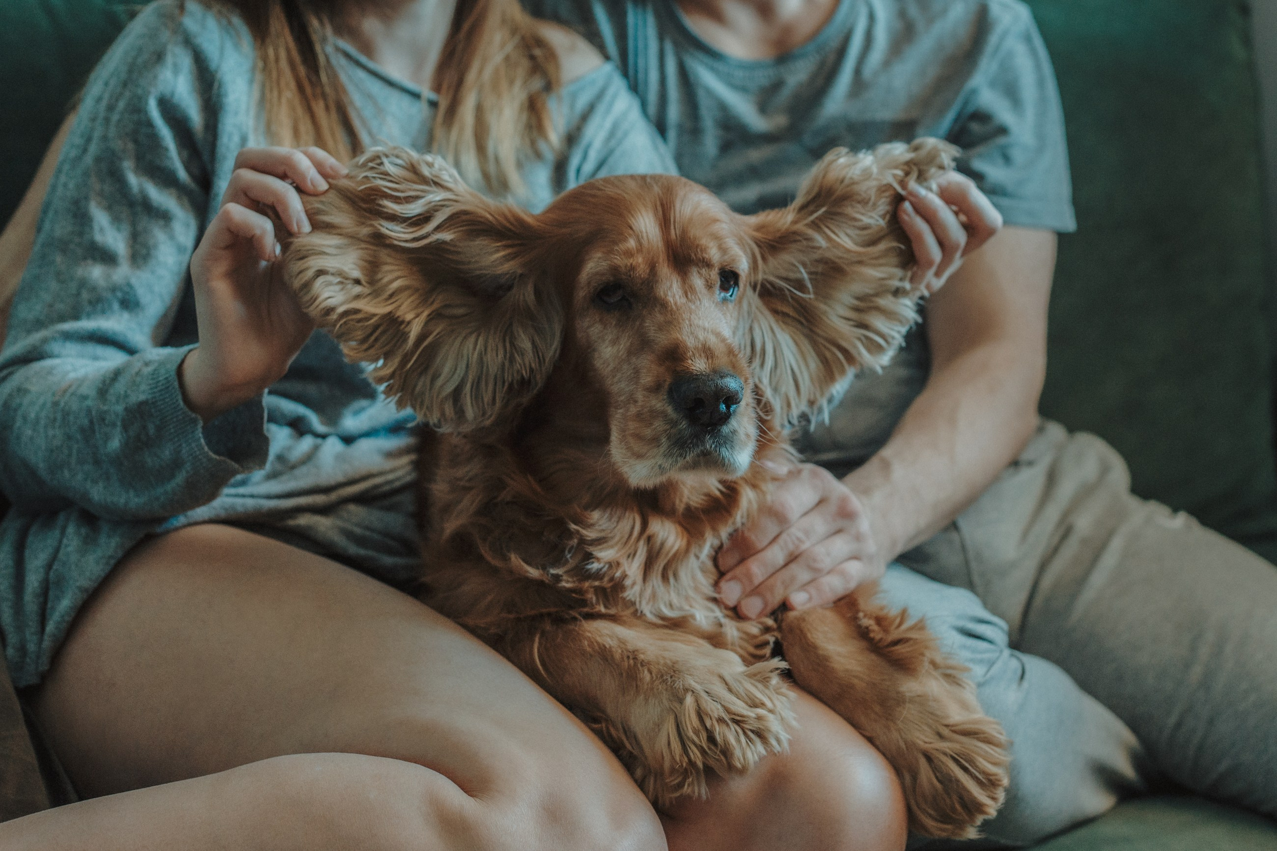 Дома. Фотограф Ольга Кириллова Владивосток