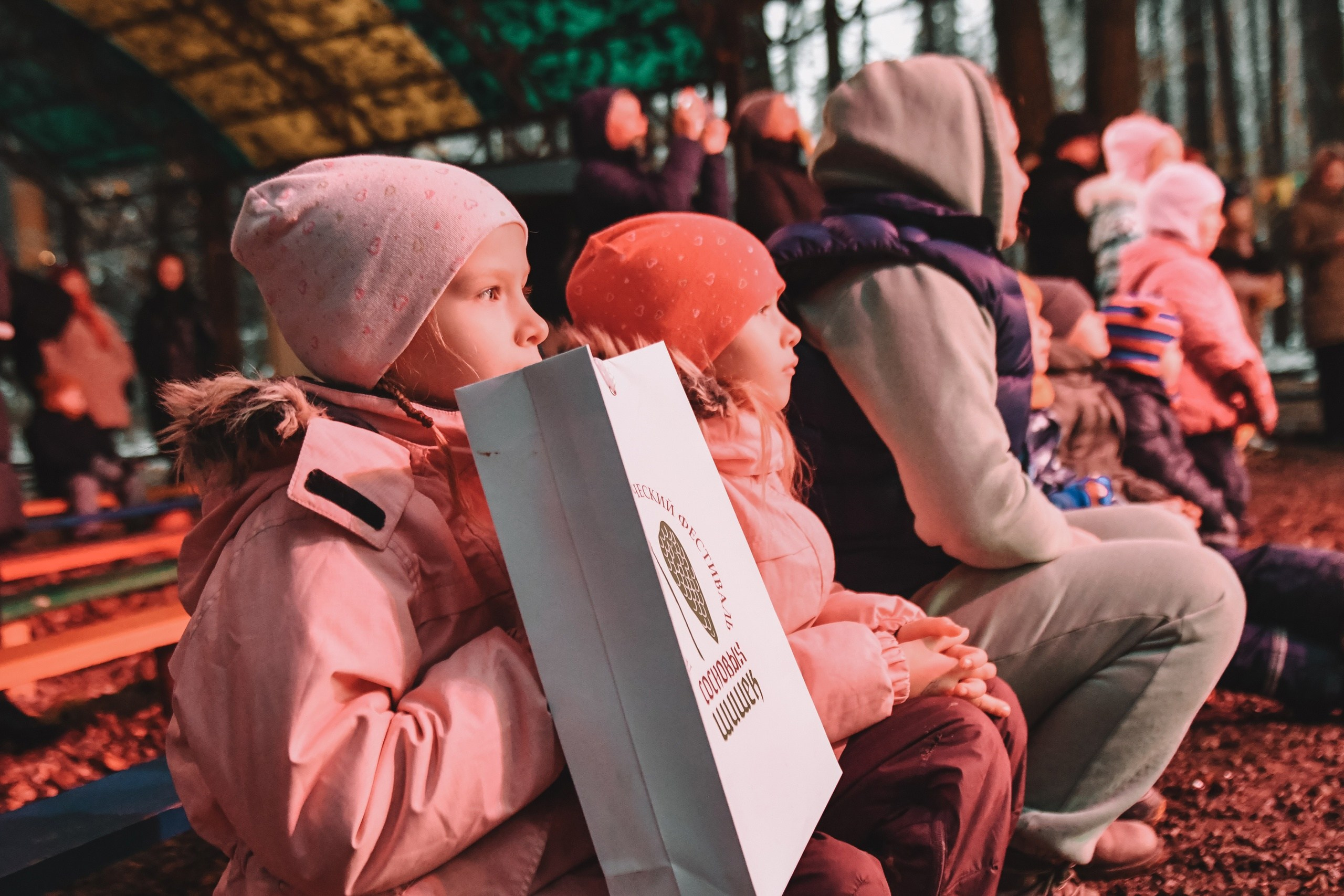 10 сосновых шишек. Kirillova Studio — мастерская декора и событий Юли Кирилловой