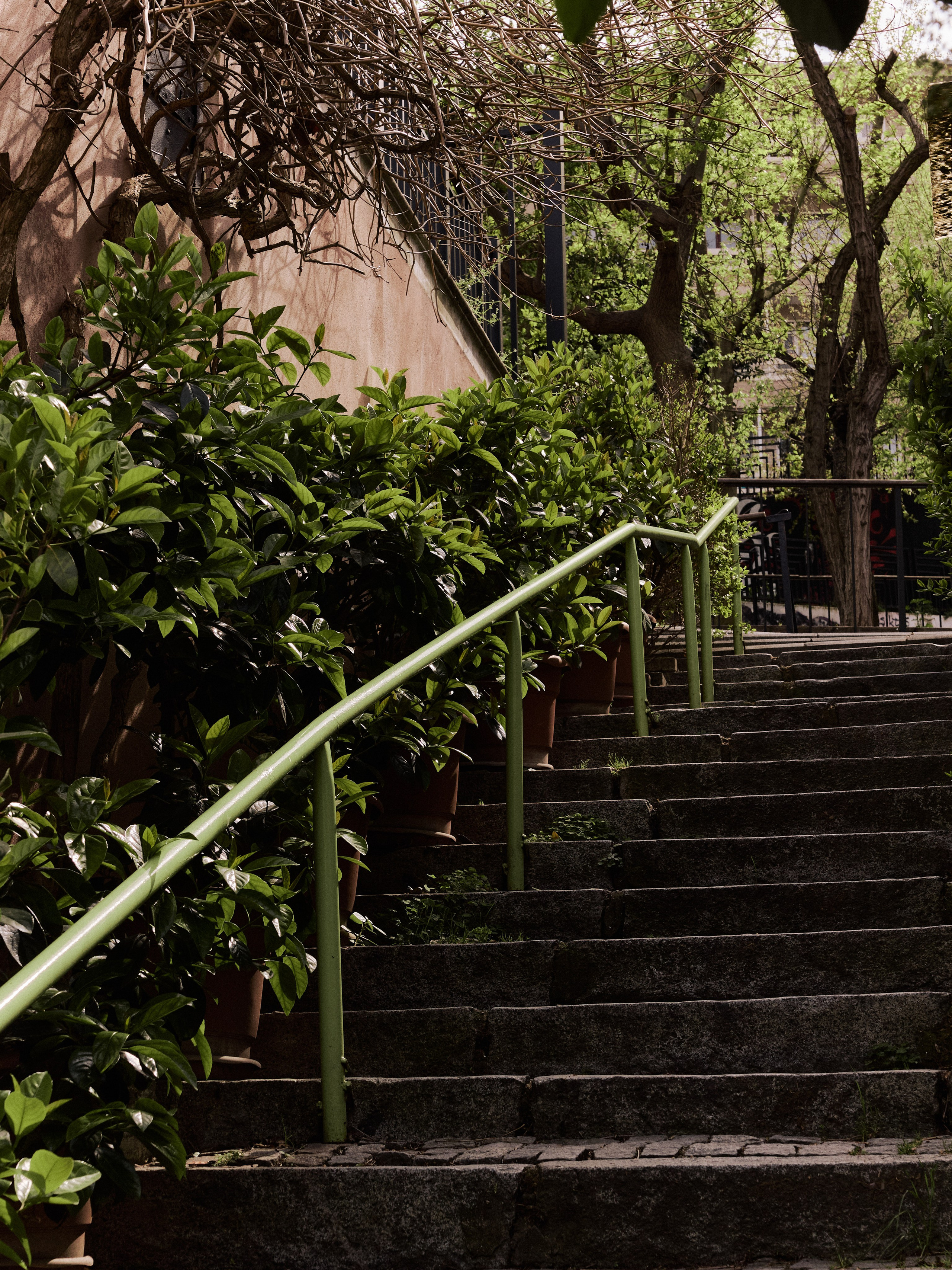 Природа сквозь. Jorgis Talè — photographer, kind person, teacher of arts and other mag