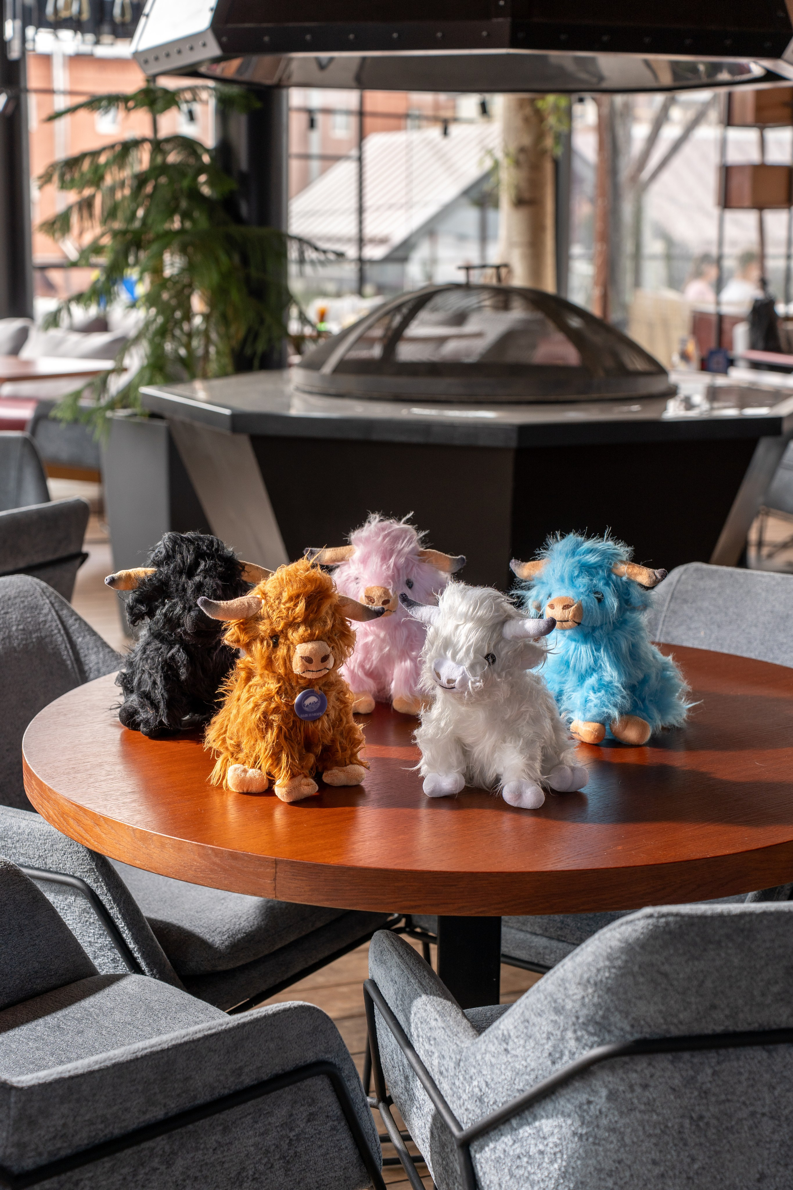 Съемка для сайта и соцсетей. Фуд фотограф Самара, съемка меню и еды