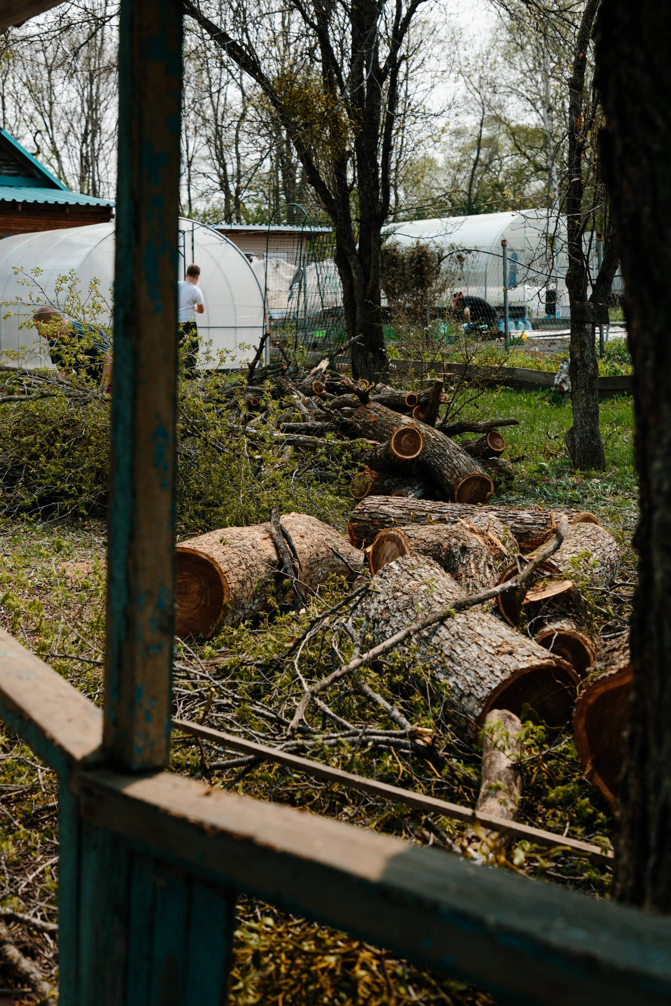 Арборист. Семейный фотограф в Хабаровске Катаева Ольга