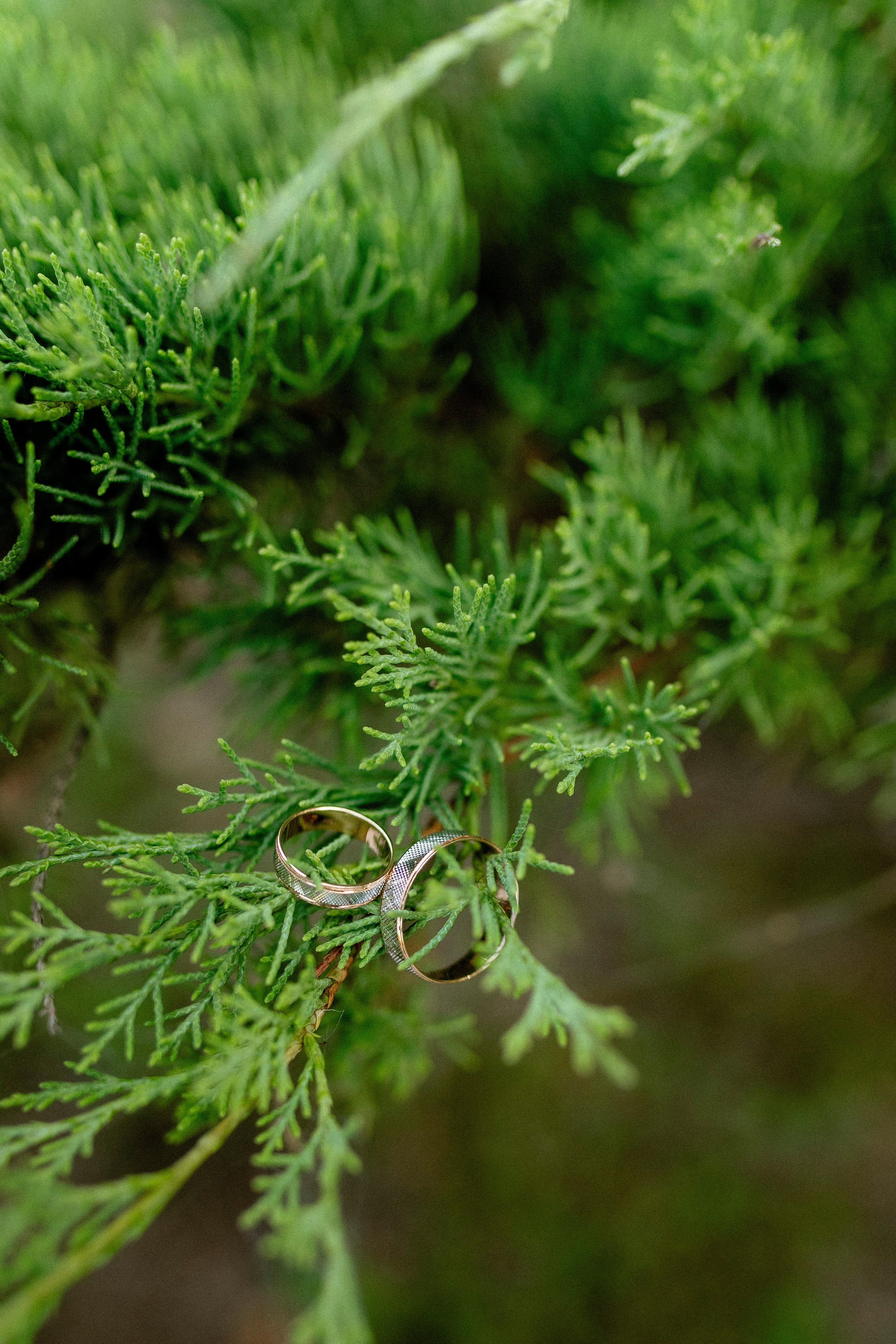 Юля и Кирилл 23.08.24. Индивидуальный, семейный и свадебный фотограф