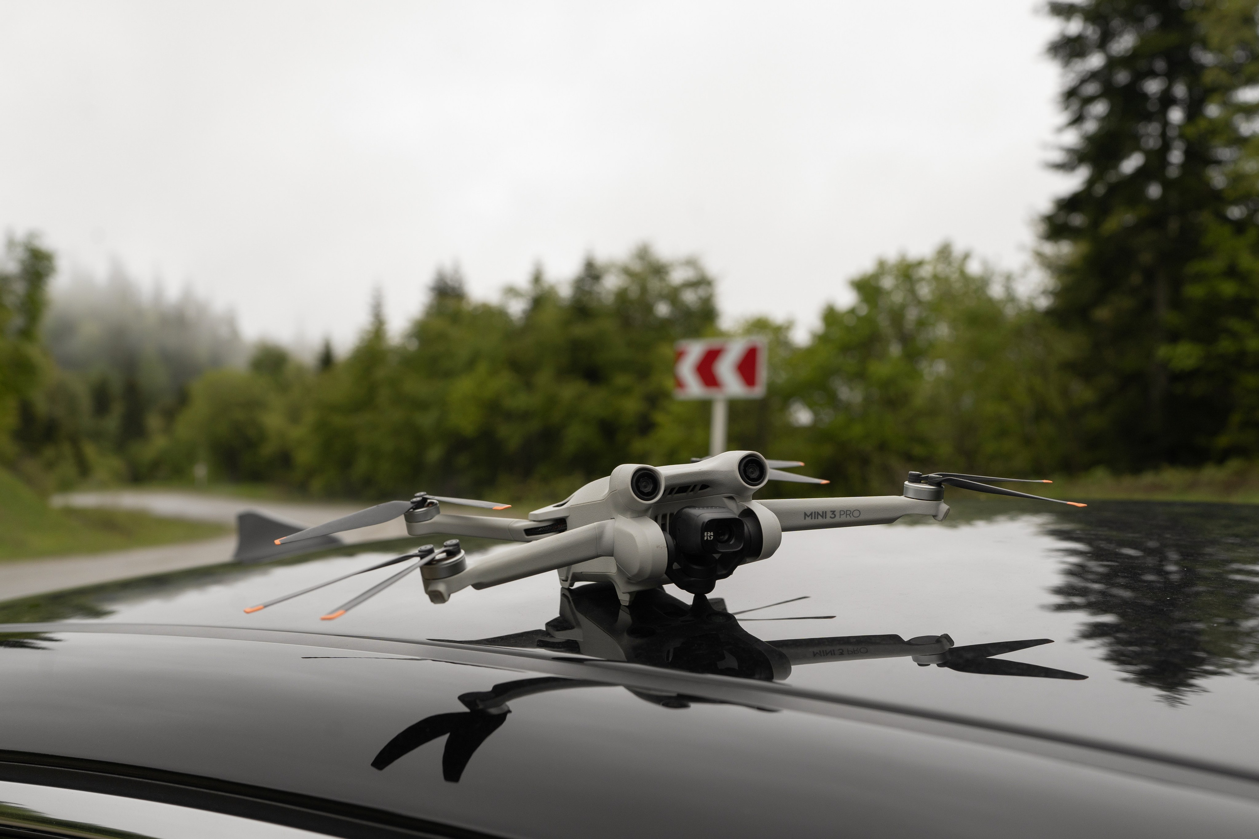 Блог. Фотограф и видеограф Елена Хмелевская