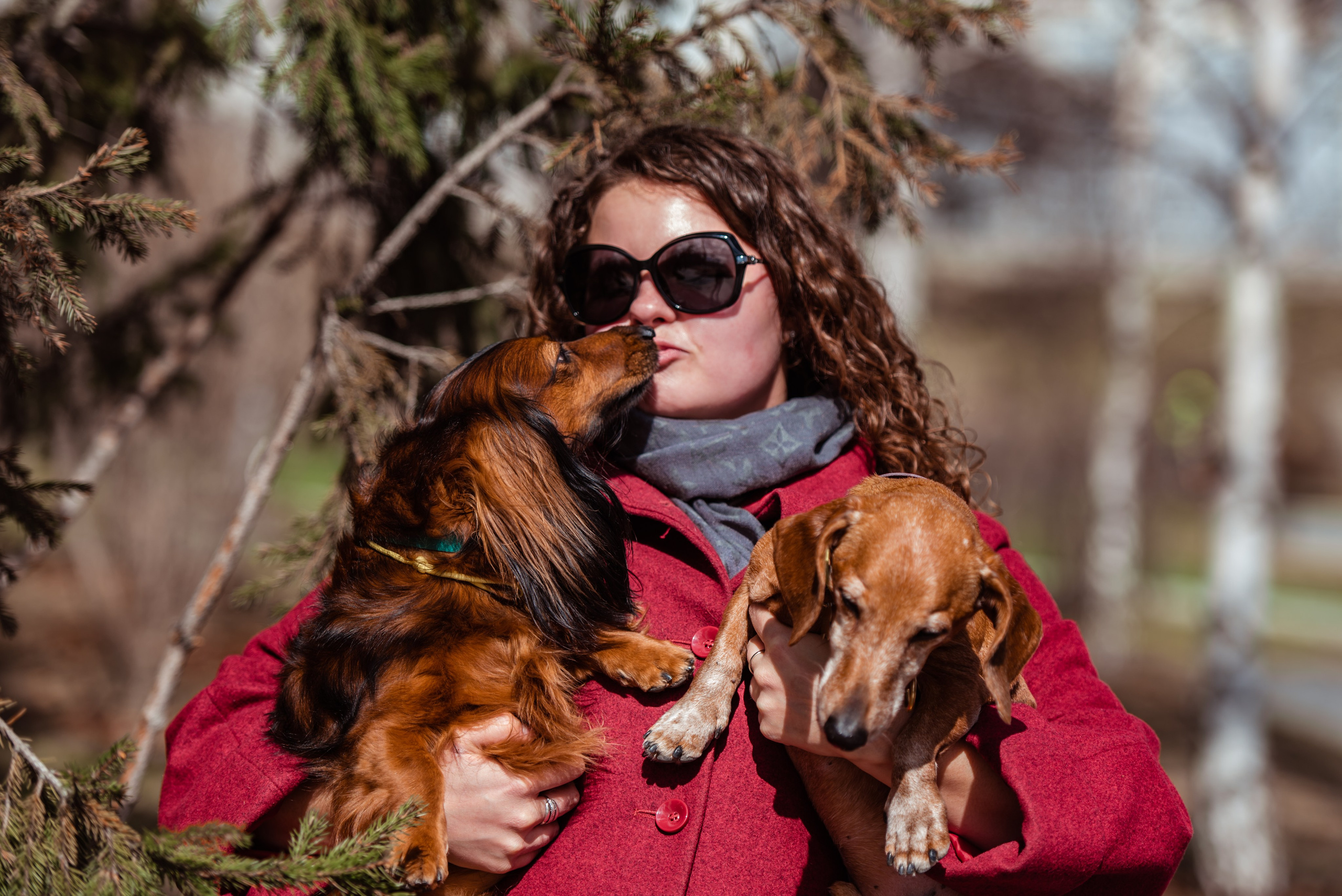Таксы на Красной площади. Семейный Фотограф в Москве Ирина Хохлова