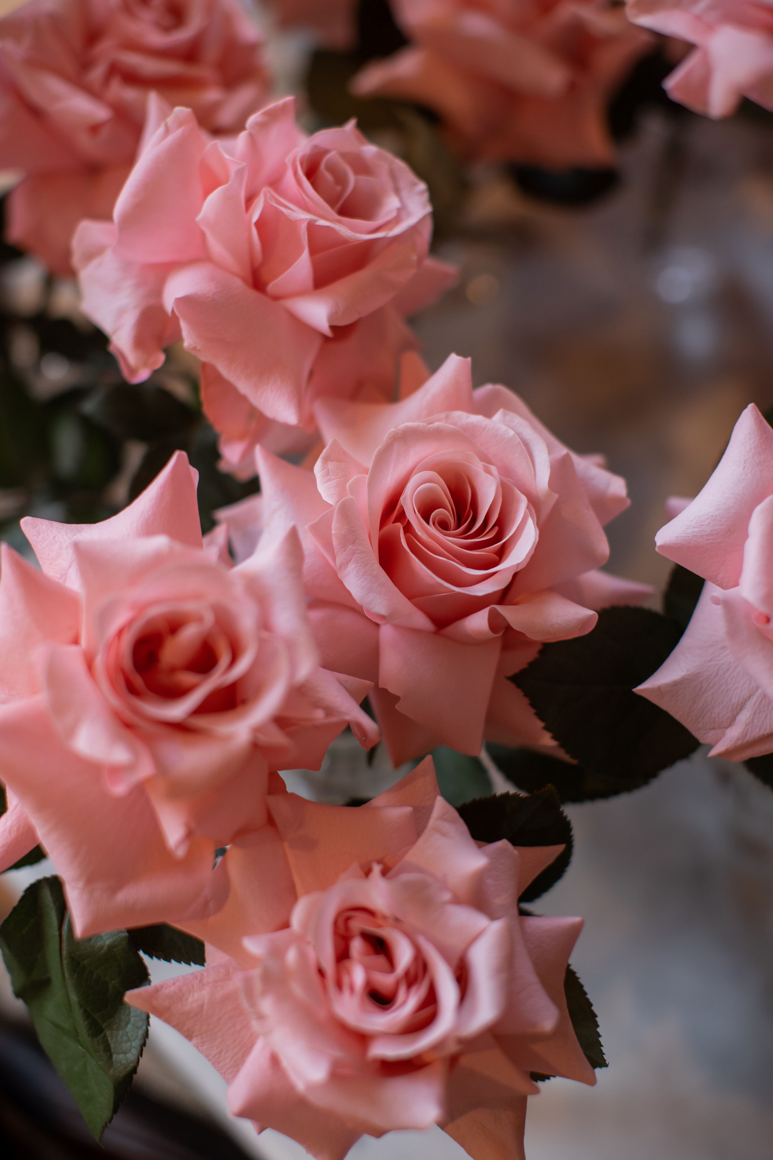 MONOCHROME. Семейный и детский фотограф в Москве Кузьмина Мария