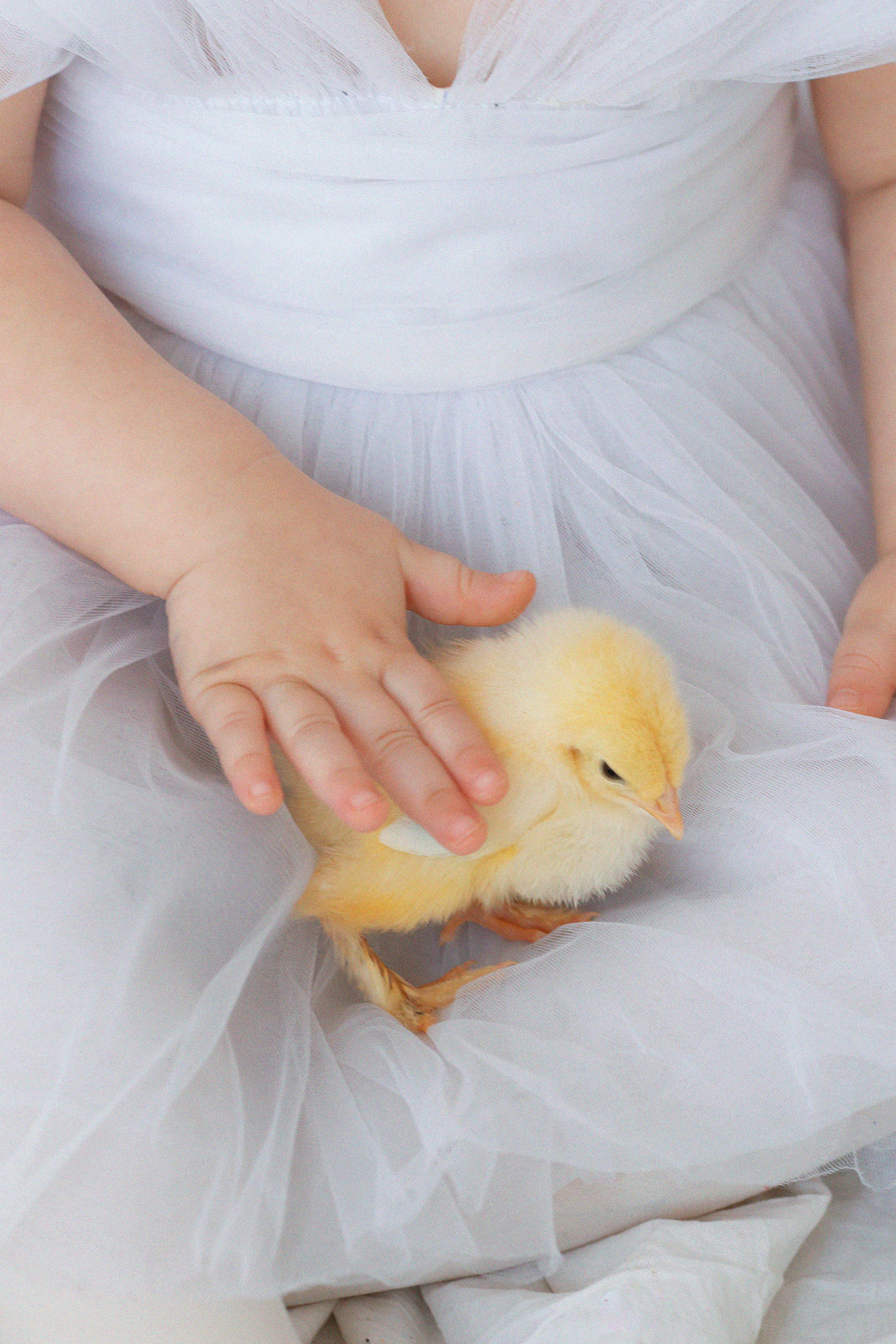 Семейная фотосессия в студии. Семейный и детский фотограф в Волгограде Серкибаева Ирина