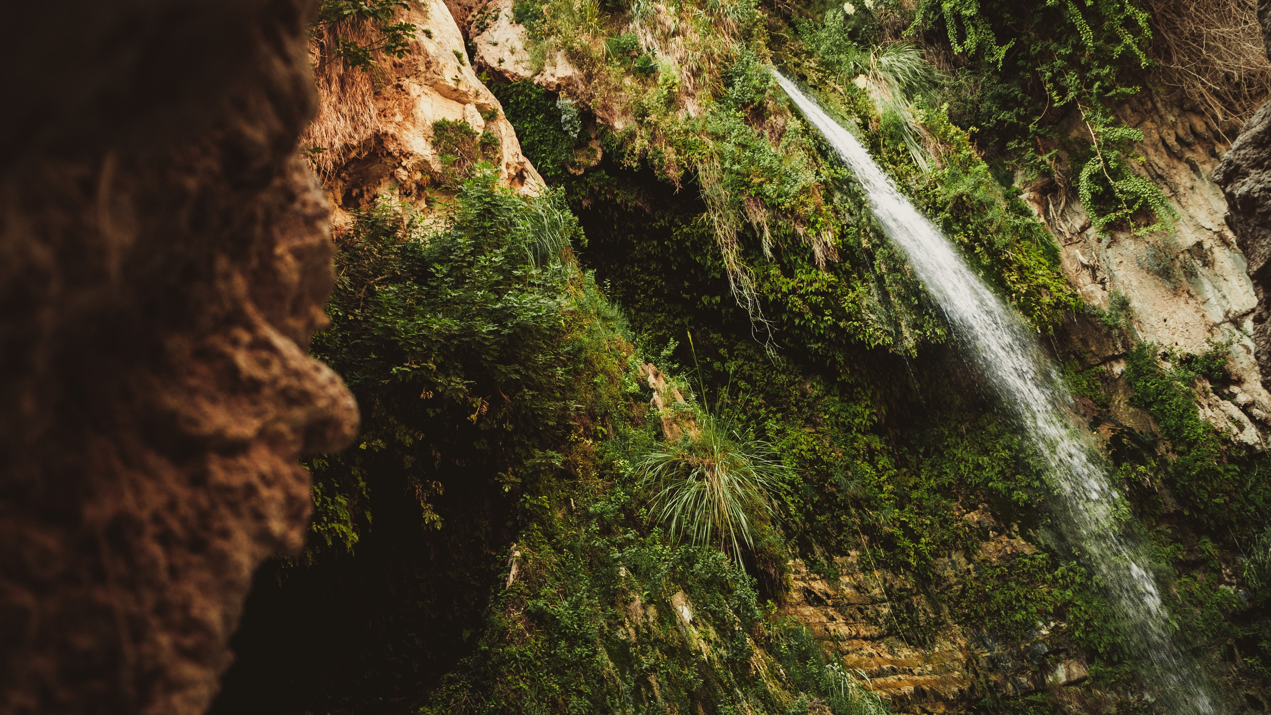 Израиль. Свадебный фотограф Копков Геннадий