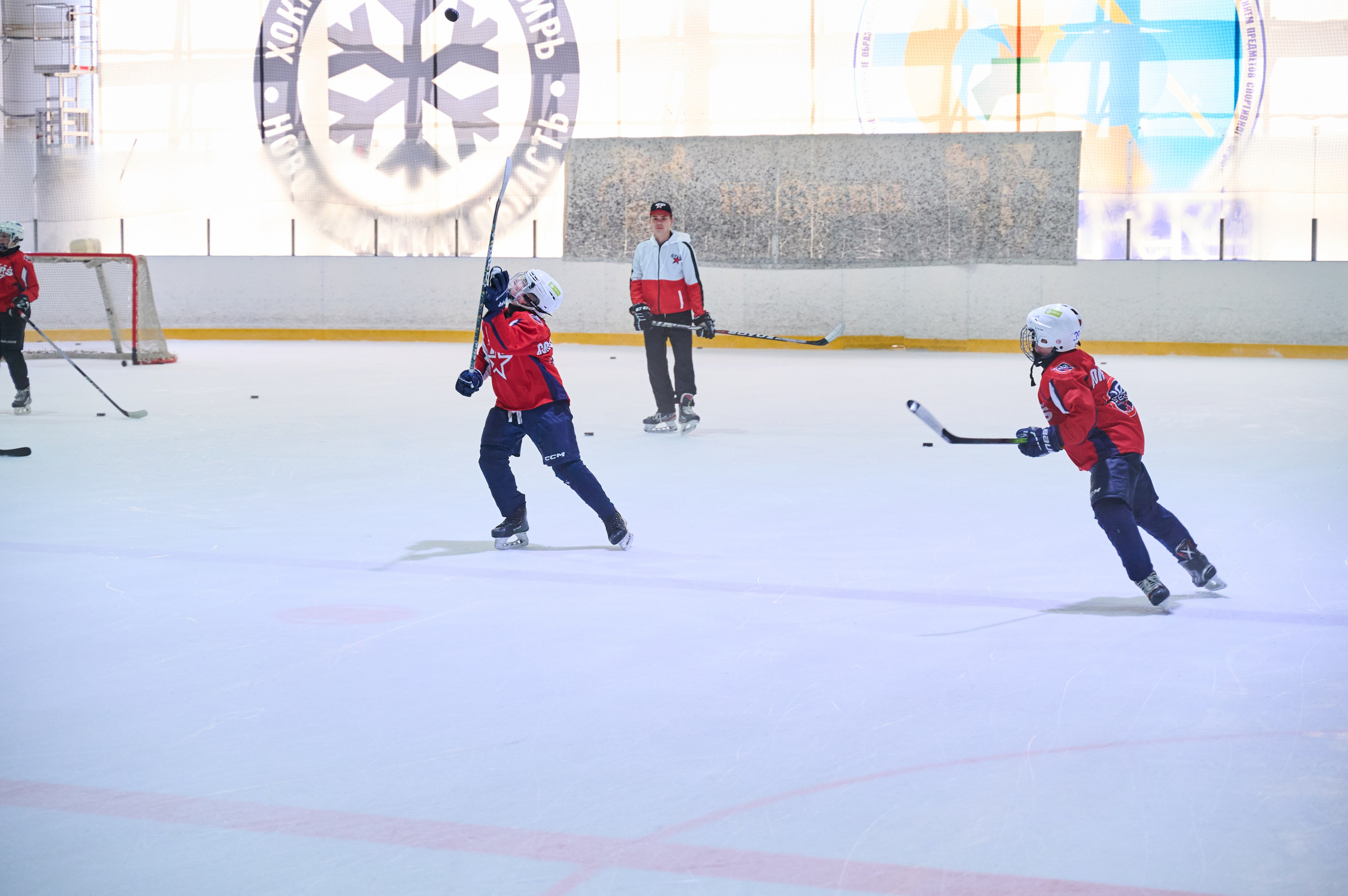 Boston Stars. Фотограф Универсал в Новосибирске