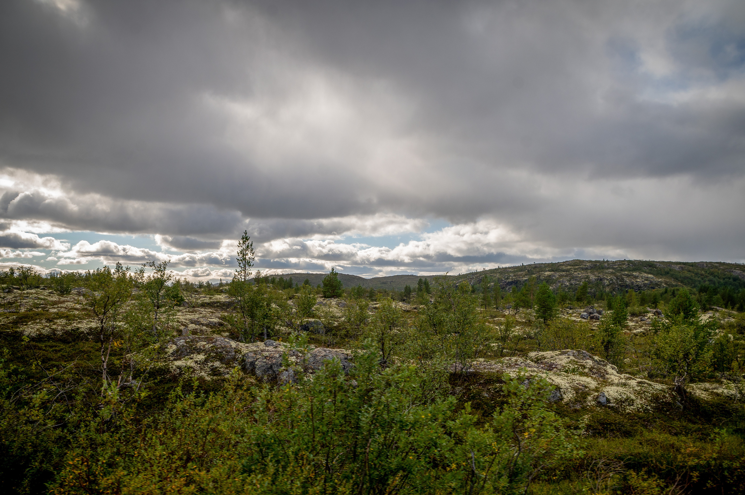 Мурманск. Vadim Nevenglovskii Фотограф в разных жанрах