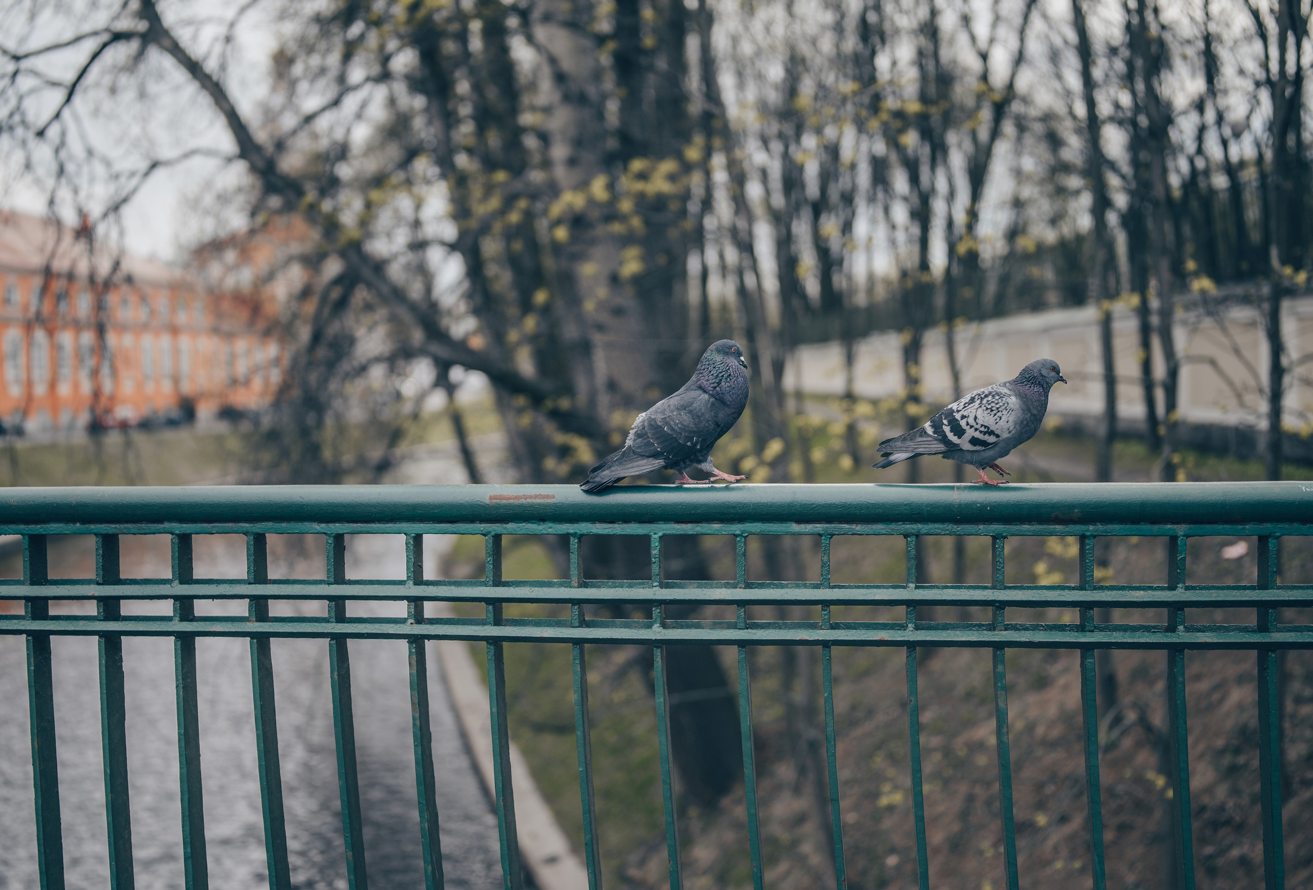 Прогулка по прекрасному Питеру, день первый. Vadim Nevenglovskii Фотограф в разных жанрах
