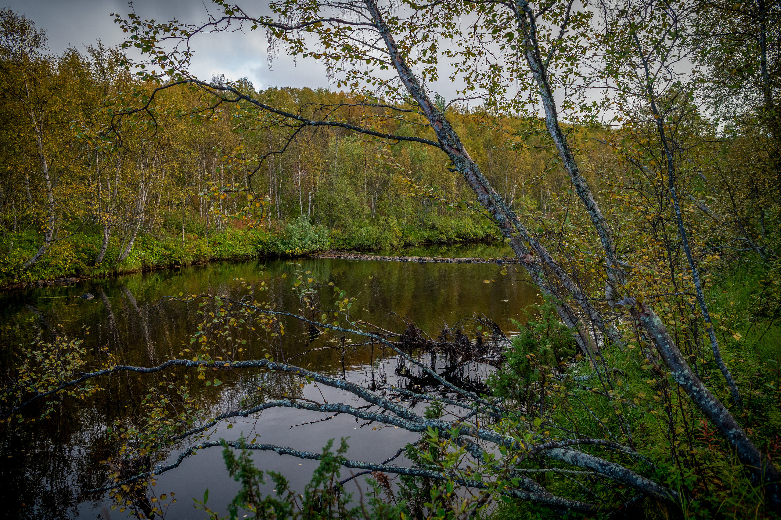 Мурманск. Vadim Nevenglovskii Фотограф в разных жанрах