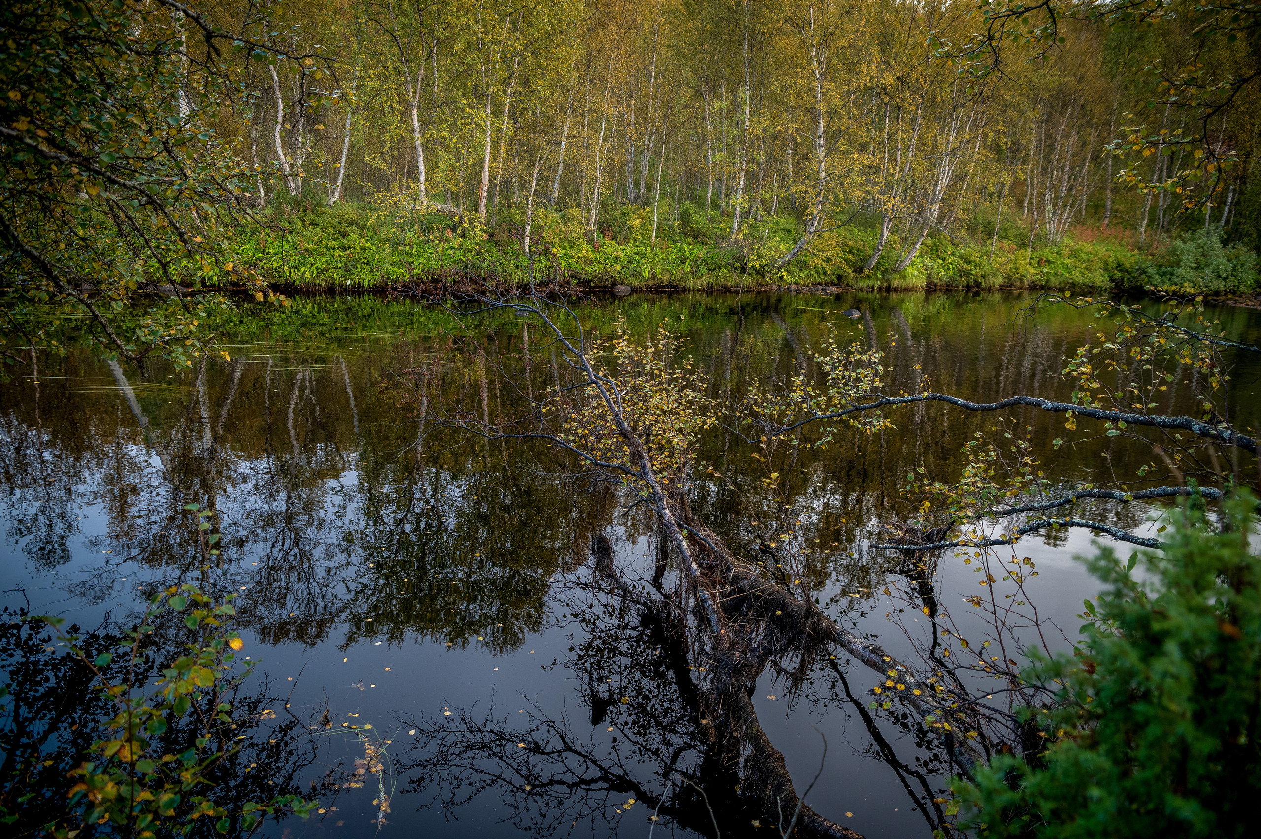 Мурманск. Vadim Nevenglovskii Фотограф в разных жанрах