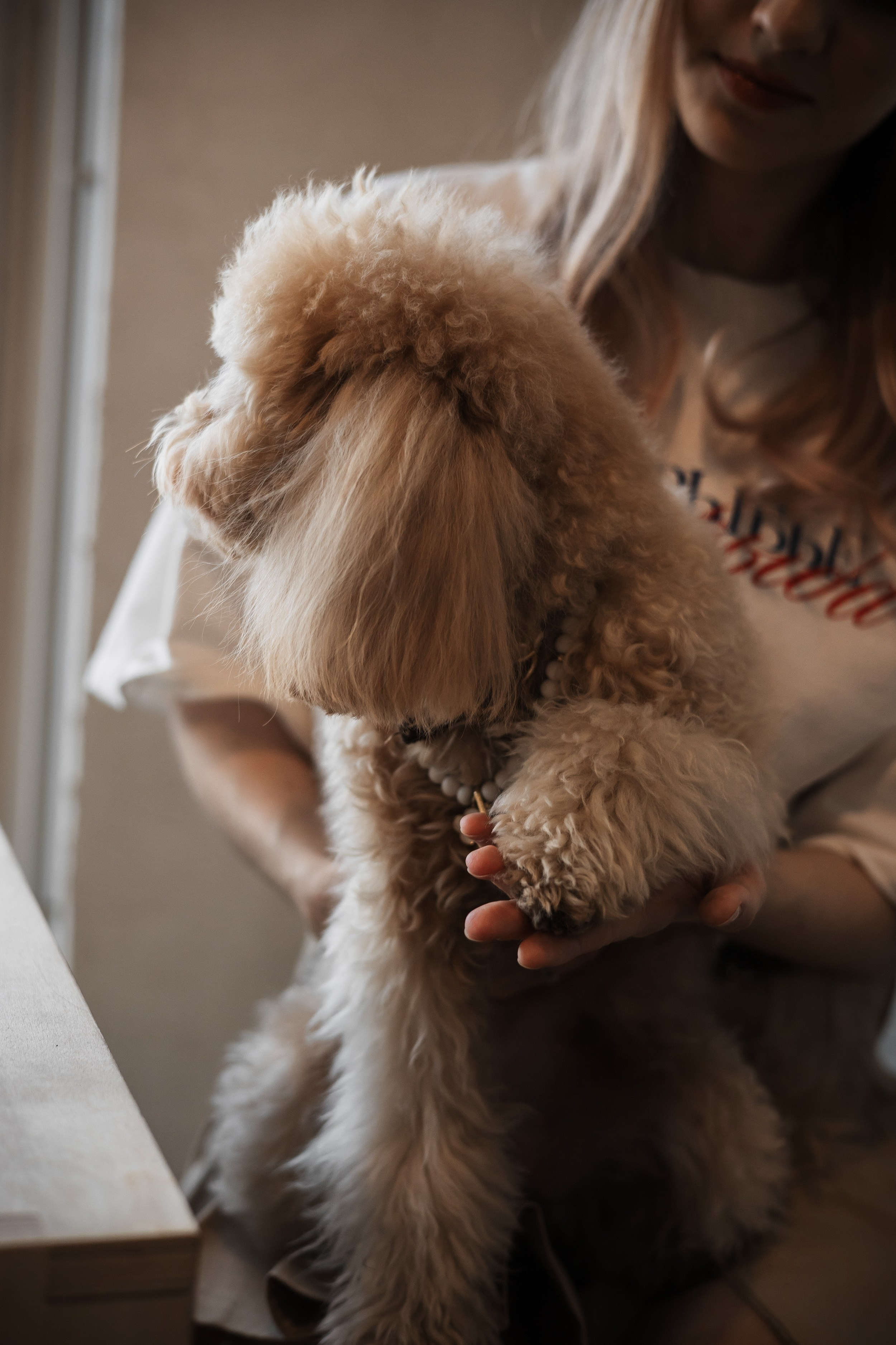 Алина — прогулка