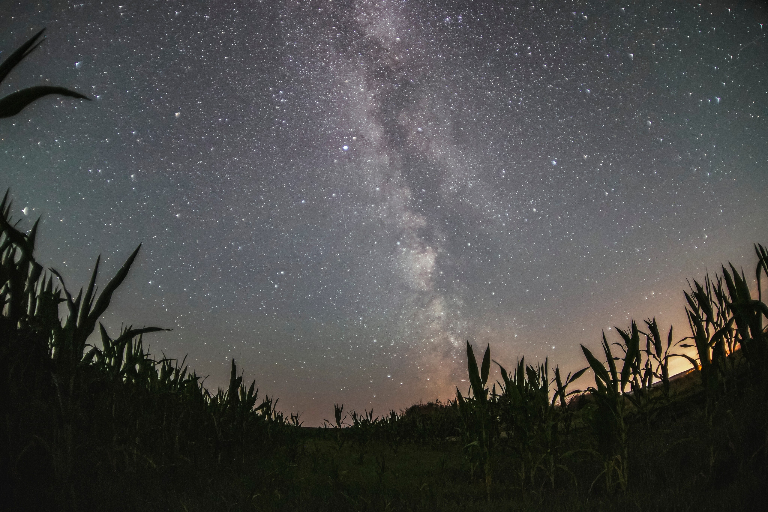 «Звездные истории». Геннадий Войтов — контент под любые задачи
