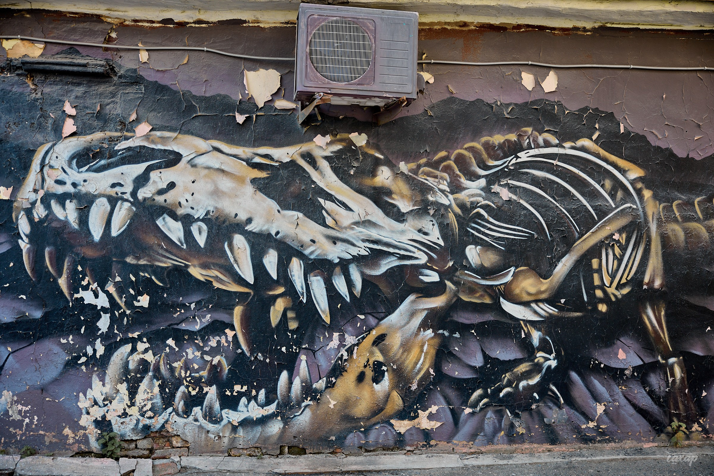 Фотопрогулка #3 от 03.07.2024. Профессиональный фотограф в Екатеринбурге Юра Сахар