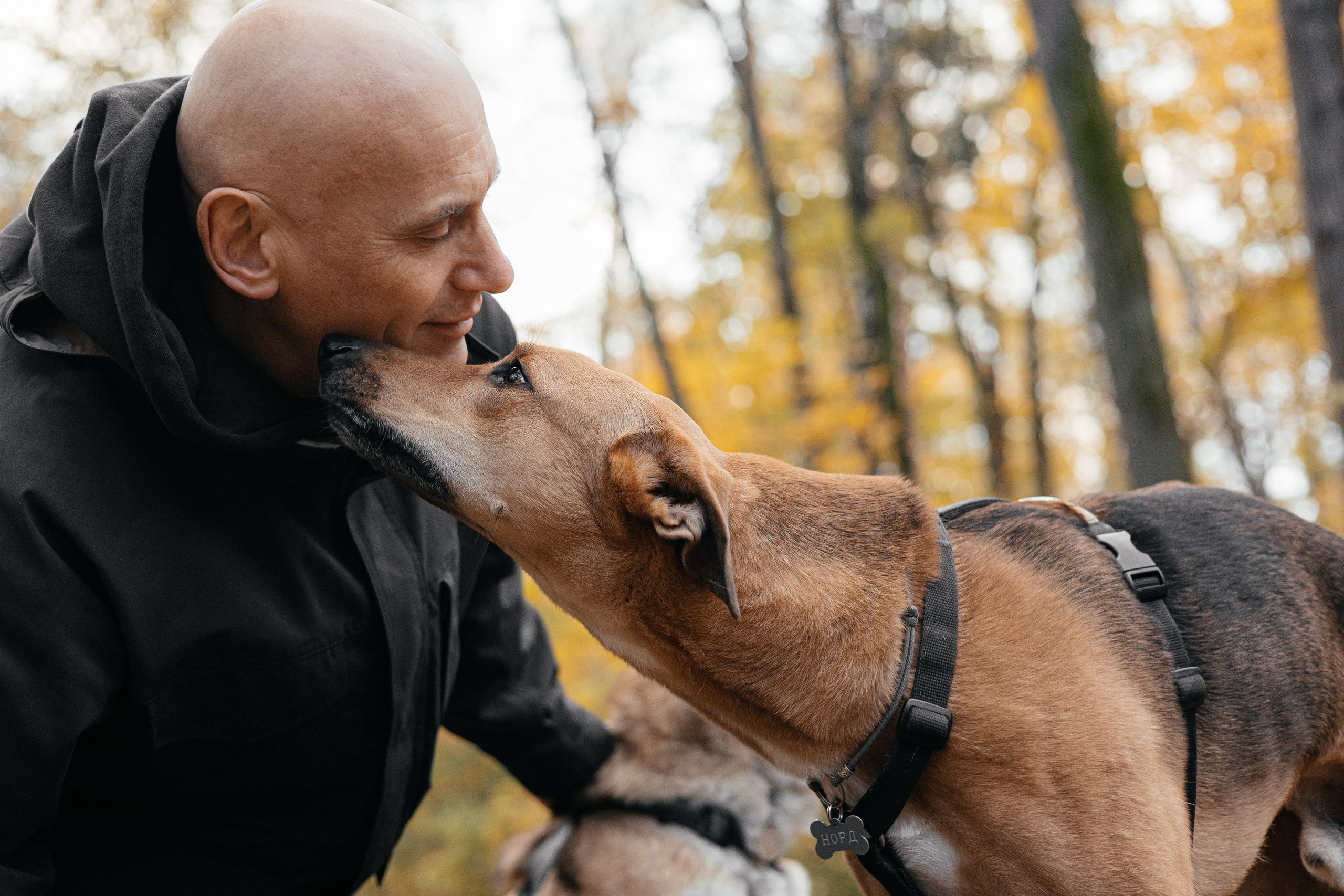 Нелли, Лёша, Рэй и Норд. Фотограф Анна Луценко Москва