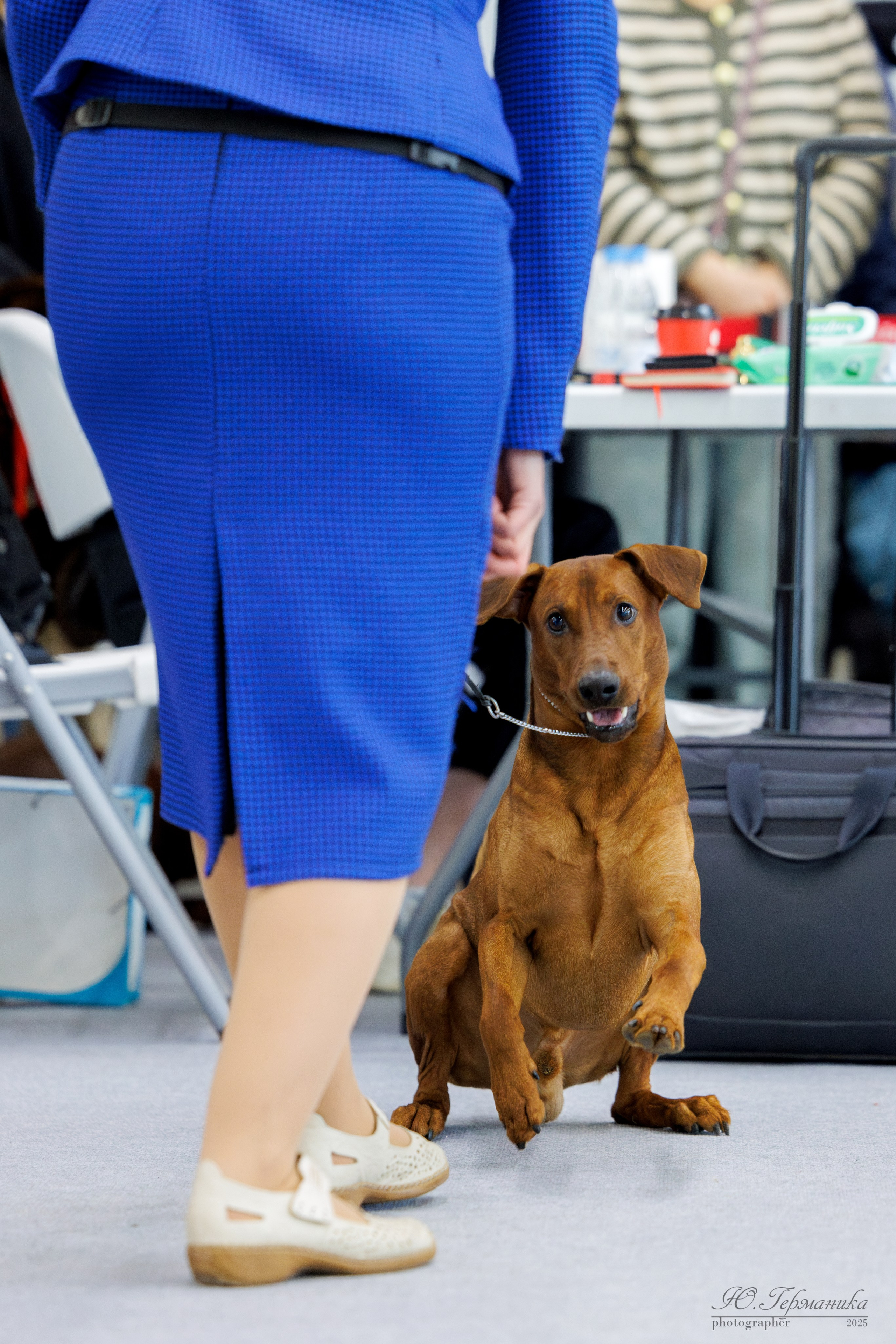 Сабанеевка Казань 25-26.01.2025. Фотограф-анималист Юлия Германика