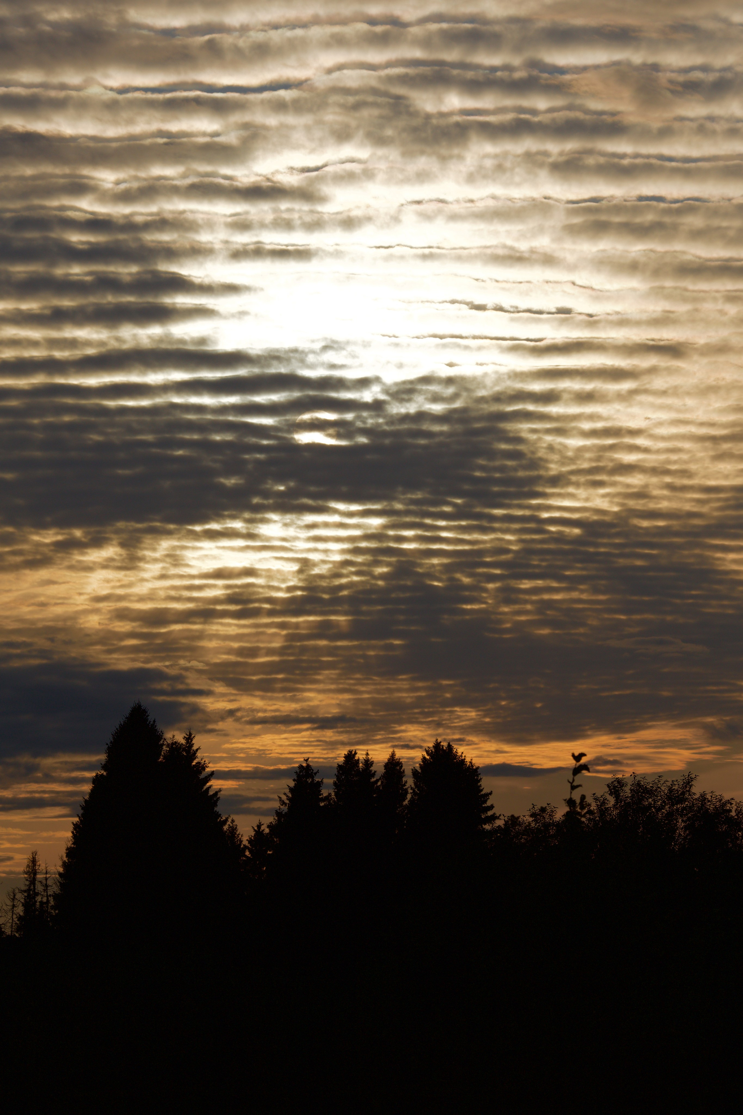 Чудесная природа. Школьные выпускные альбомы в Москве Марина Николаева