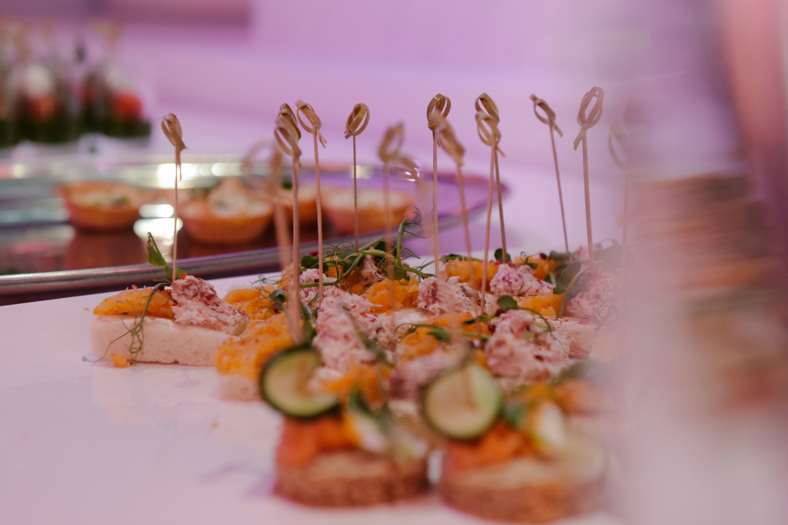 Московские Гостиные Планетарий. Фотограф Лола Волна, город Москва