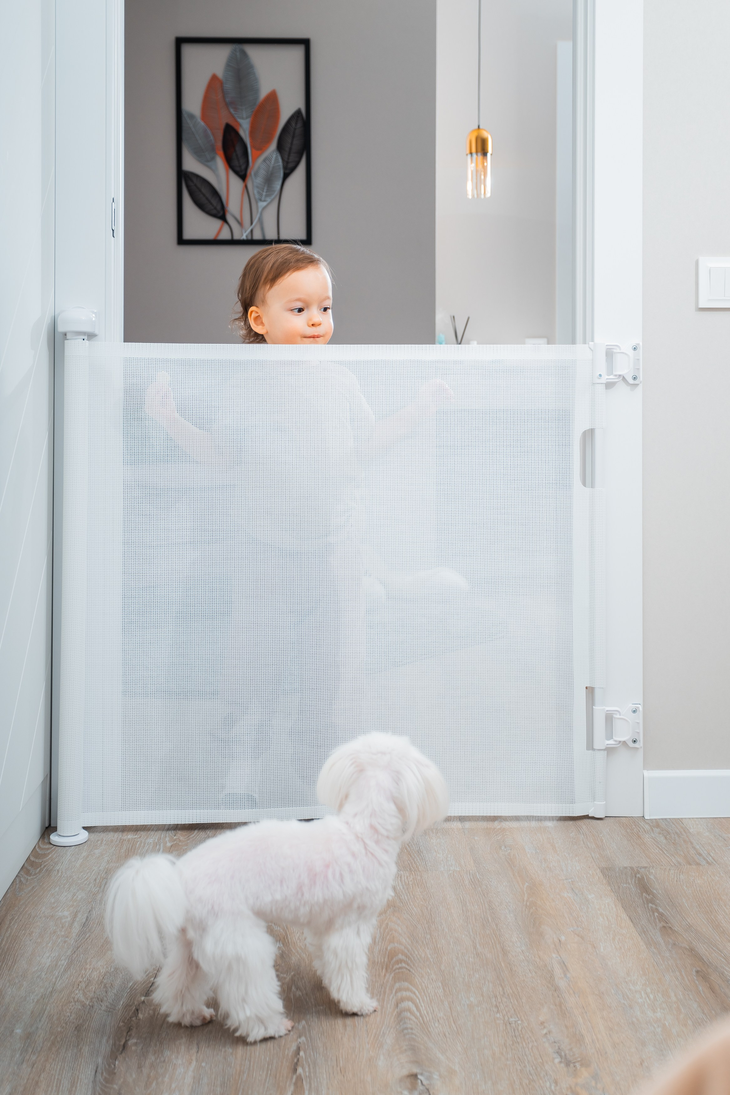 Съёмка товаров для маркетплейс в Тюмени. Фотограф Илья Силин