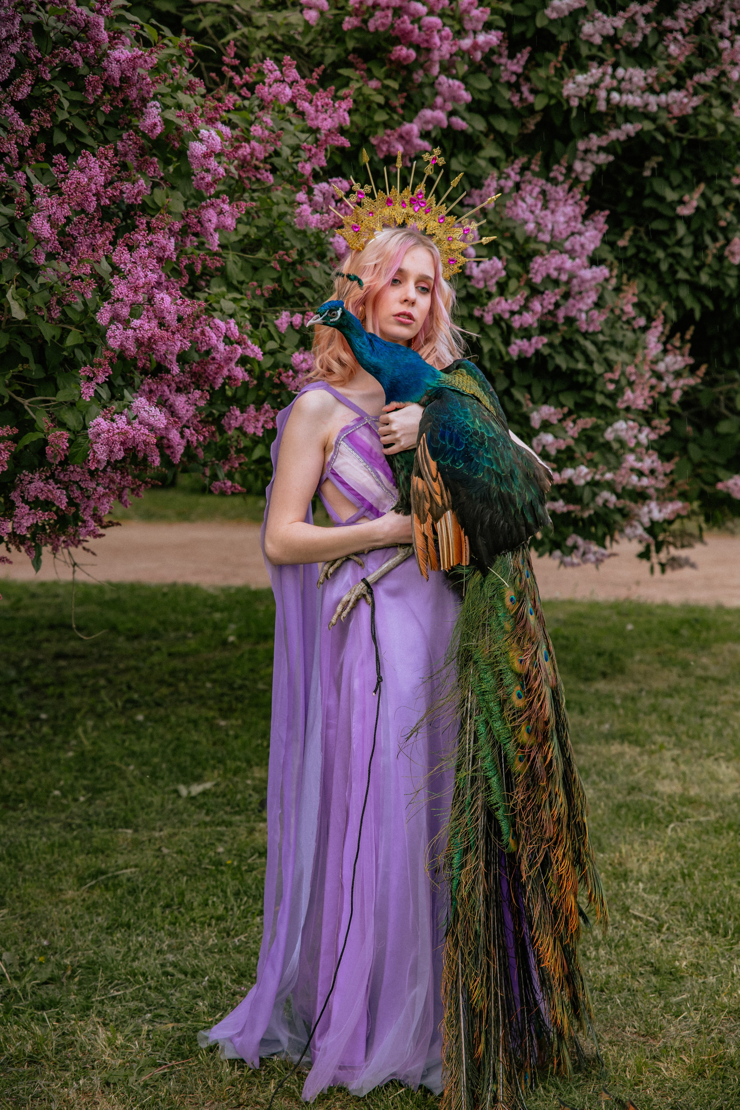 Павлин. Elena Sova — семейный и женский фотограф в Санкт-Петербурге