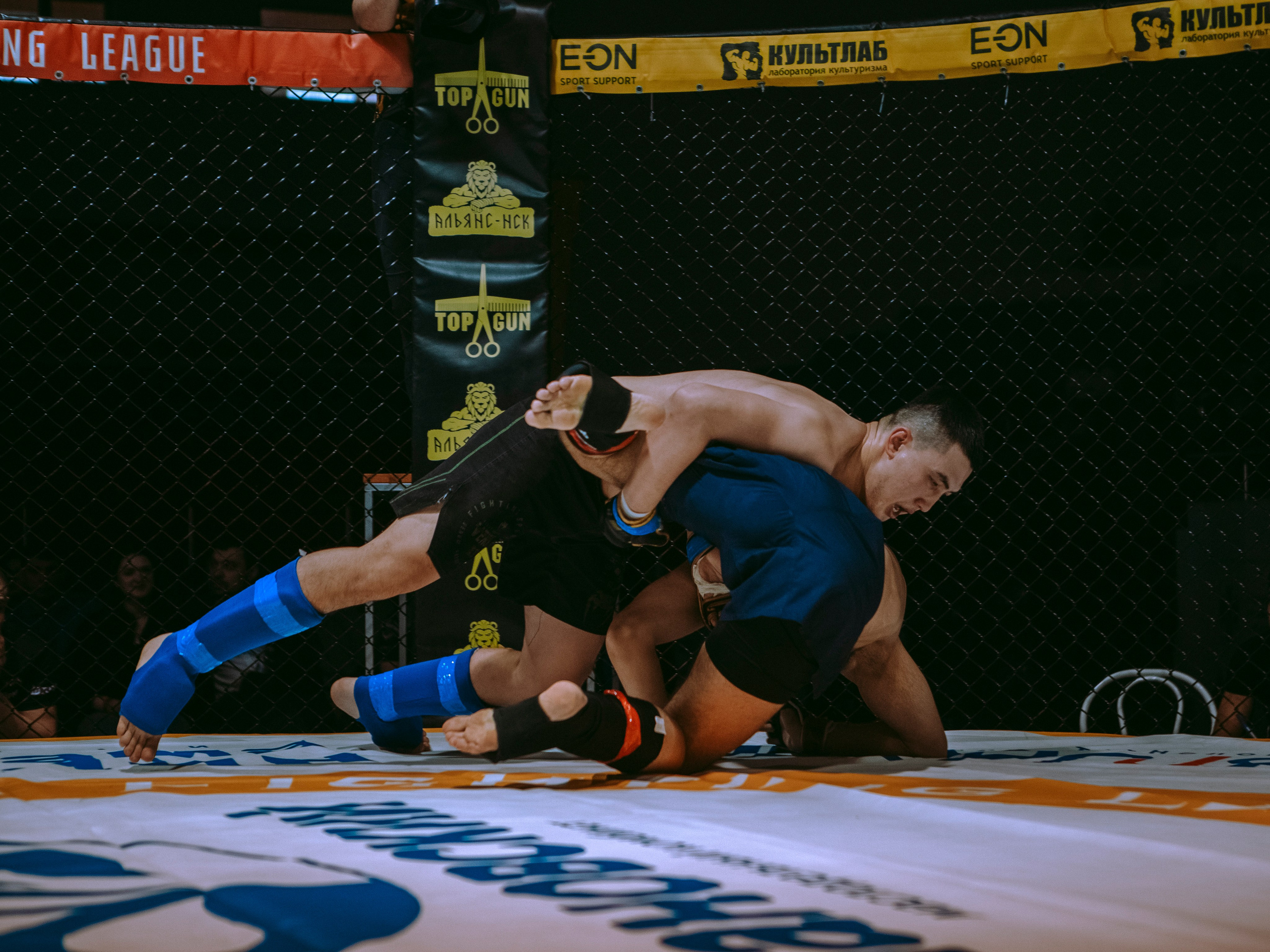 SFL 17 | Siberian Fighting League. Портретный фотограф в Москве Дарья Цезария