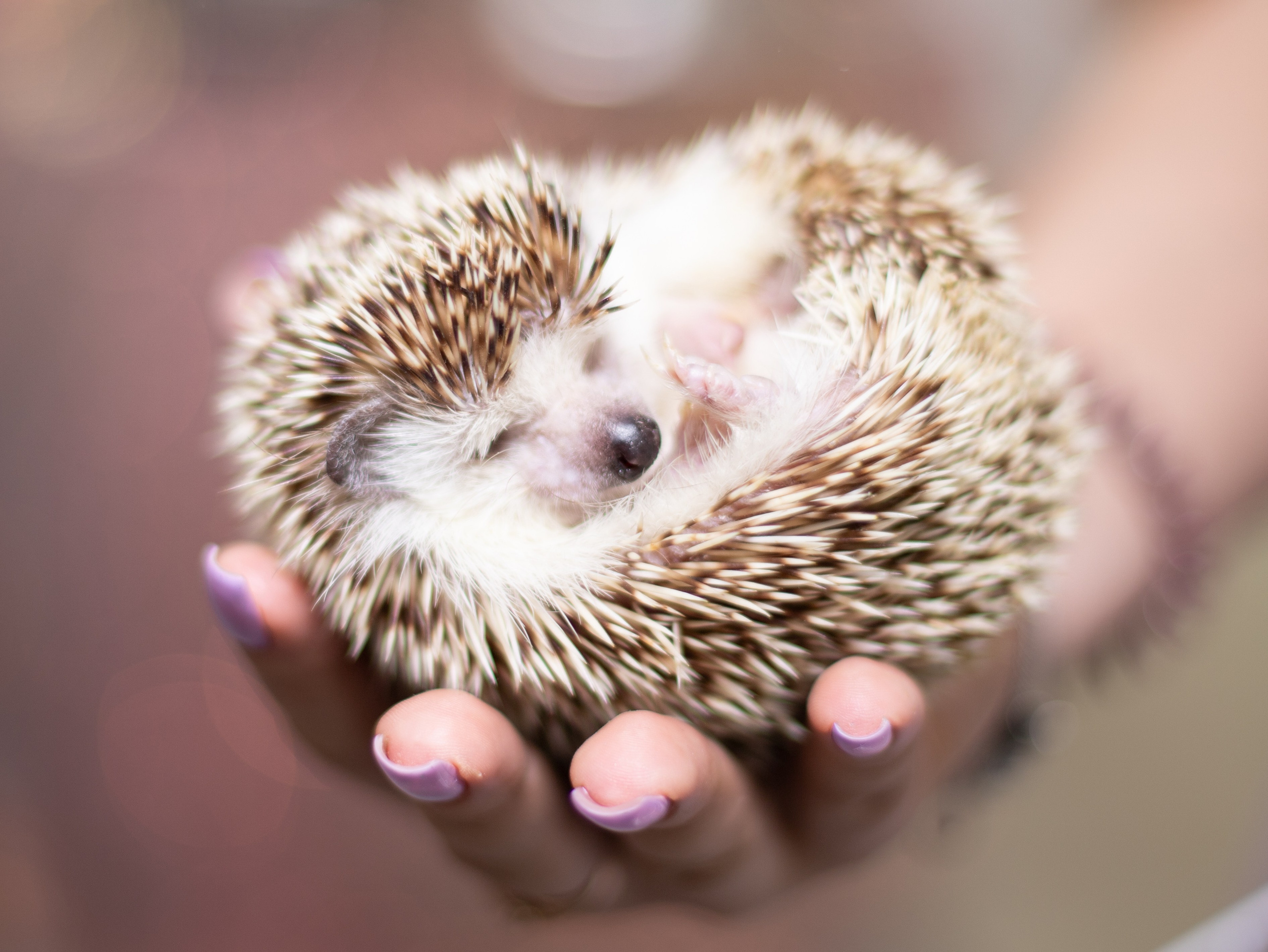 Репортажные съемки. Лучший фотограф Краснодара (по версии моей мамы)