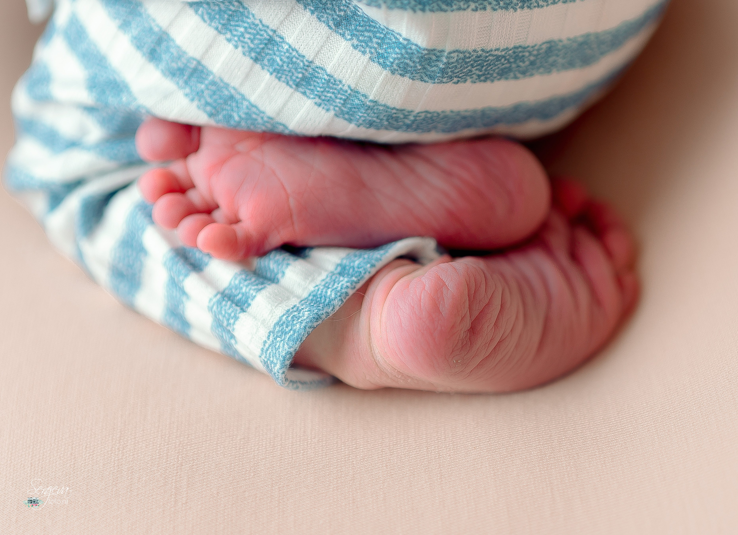Даниил 7 дней. Фотограф новорожденных в Нижнем Новгороде Сергеева Оксана