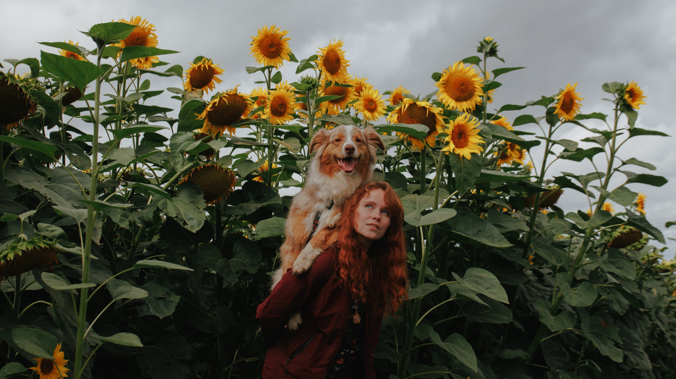 Волшебный лес с Тасей, Морошкой и Брусникой. Стас Соболь, фотограф анималист, репортажник, Москва