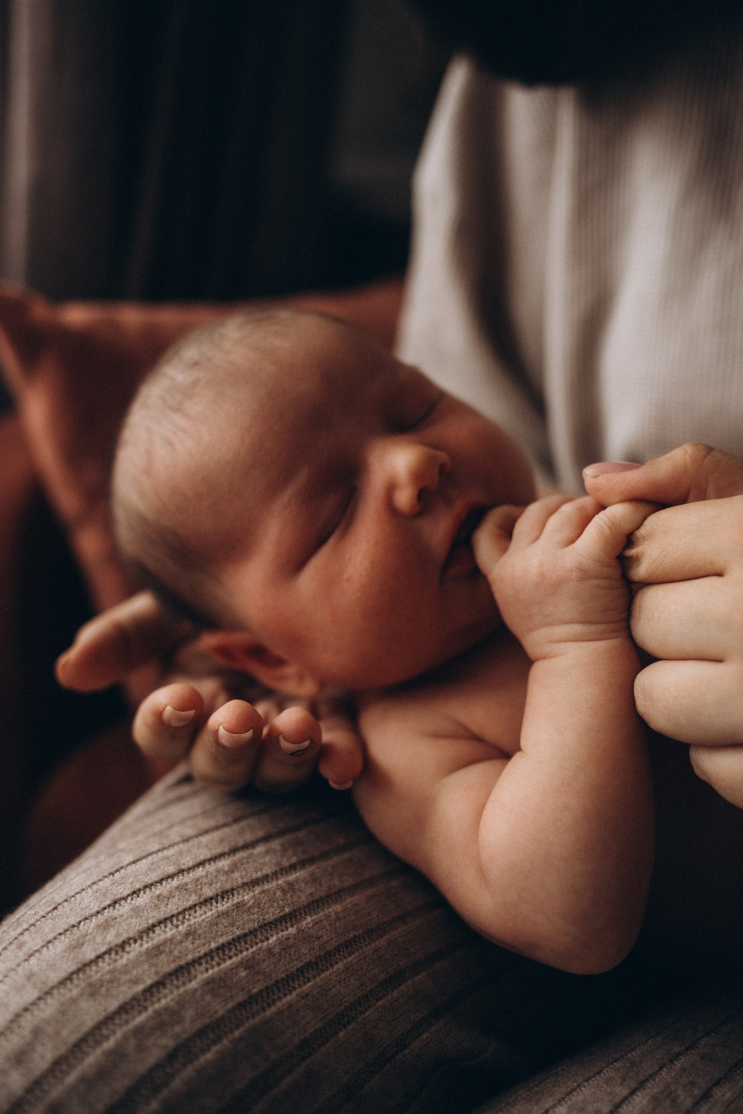 Счастье у вас дома. Семейный и свадебный фотограф Анна Кожокарь