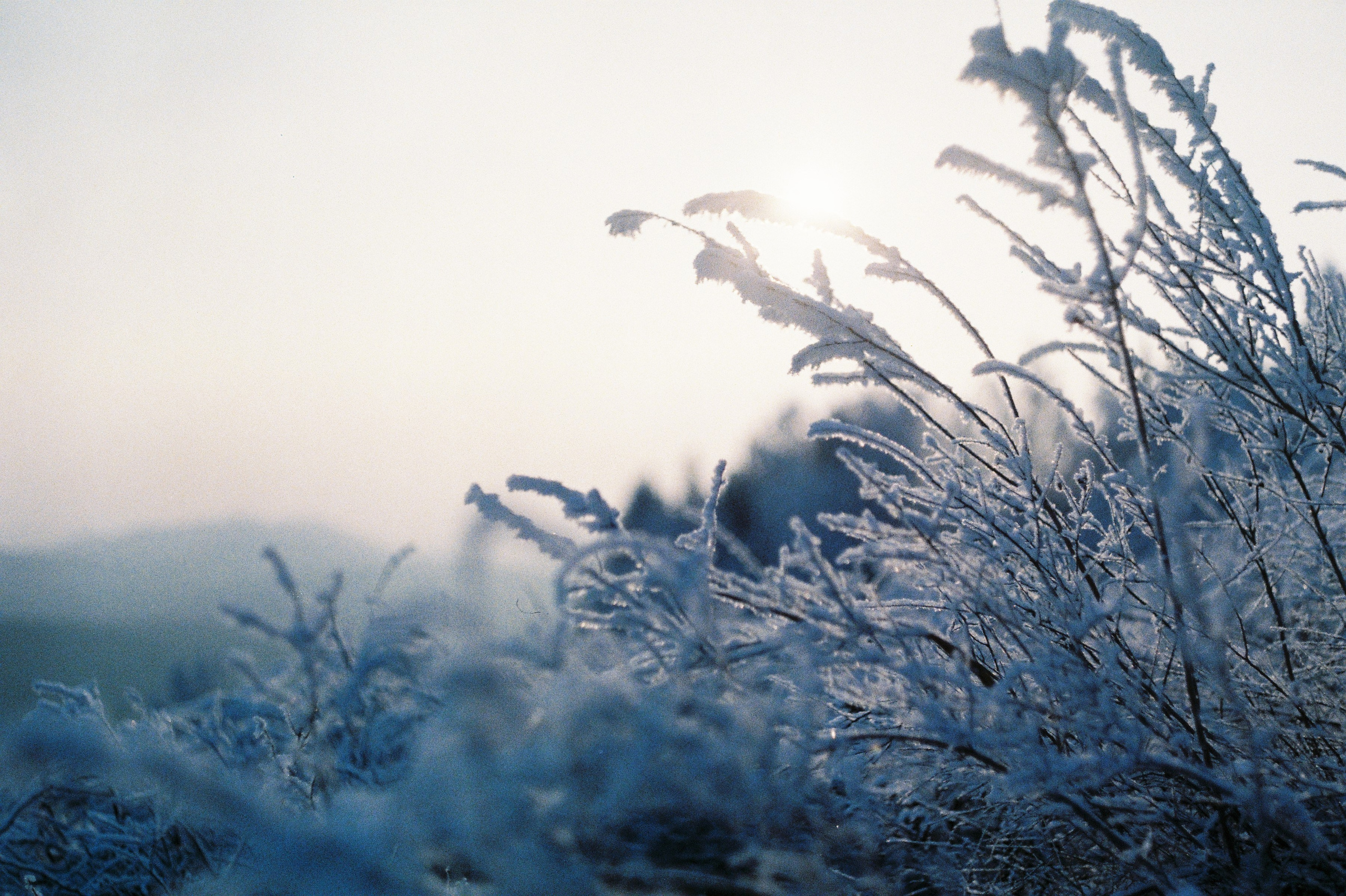 На пленку. Фотограф Настя | Экспедиции и лайфстайл