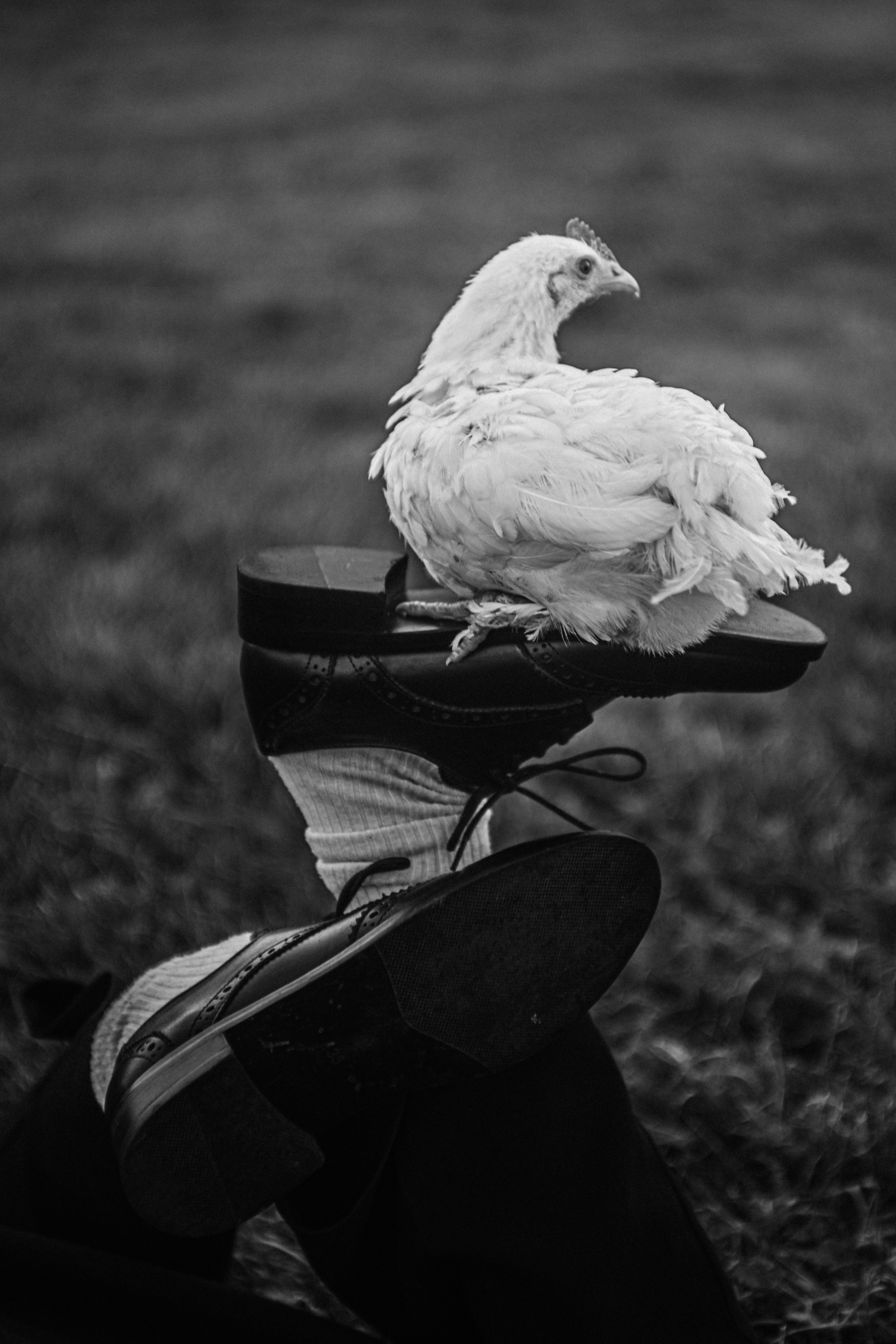 Мои ч/б работы. Портретный фотограф Марина Щеглова в Москве