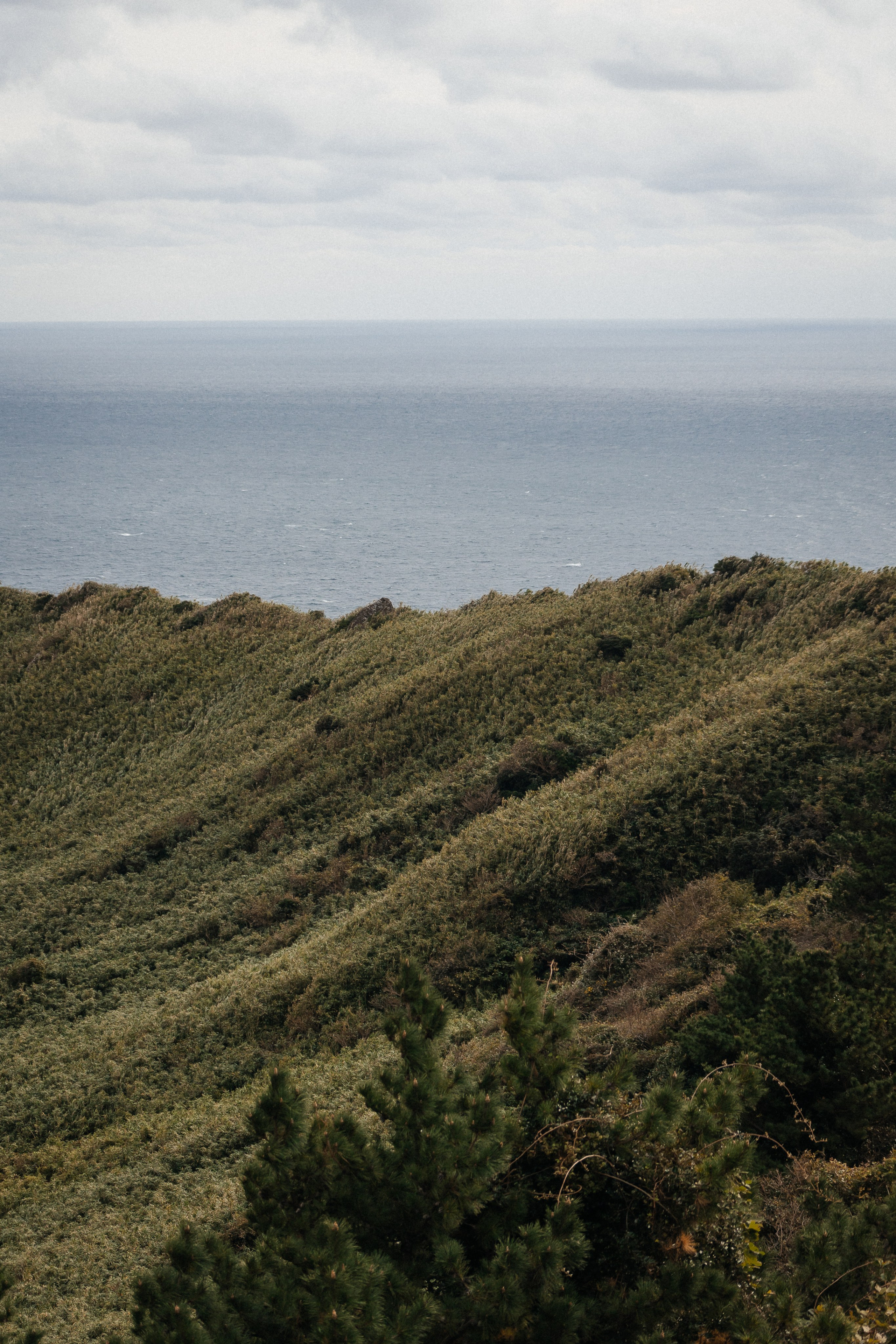 Jeju, South Korea. Свадебный фотограф Москва и МО Паншина Дарья