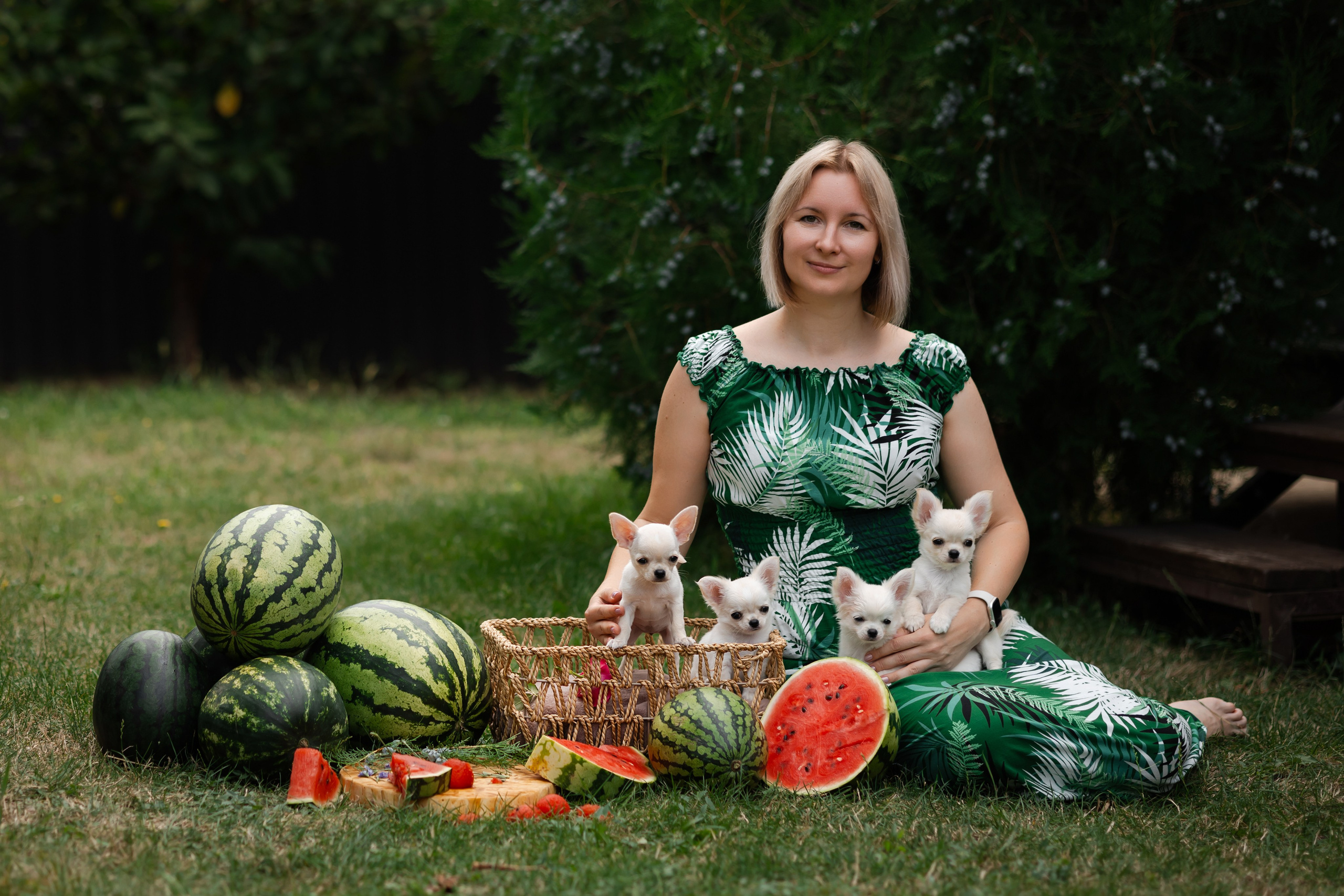 Арбузное утро. Фотограф-анималист в Краснодаре Маша Мельникова