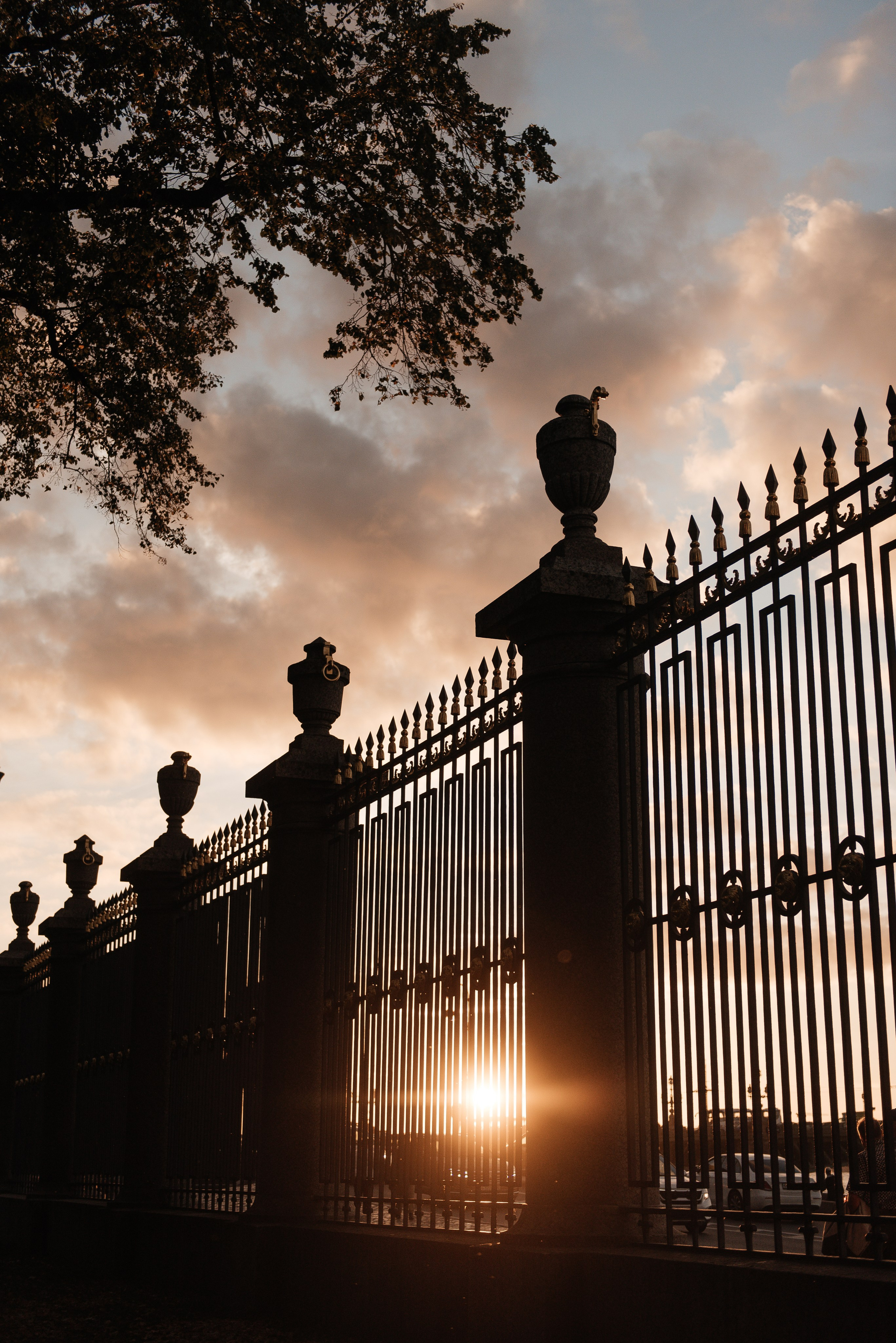 семейная фотосессия на улице