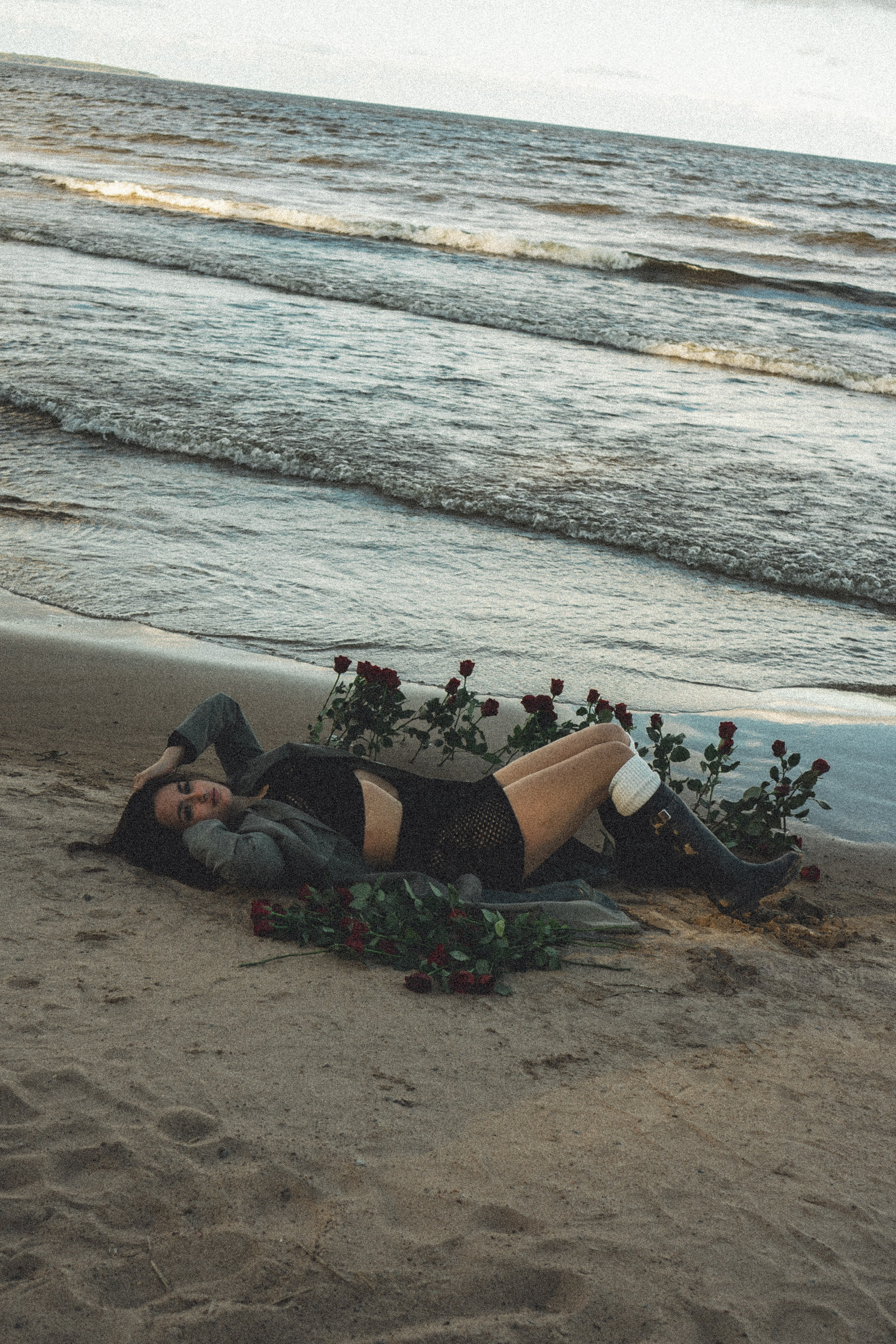 Розы. Профессиональный фотограф, Санкт-Петербург — Виктория Богомолова