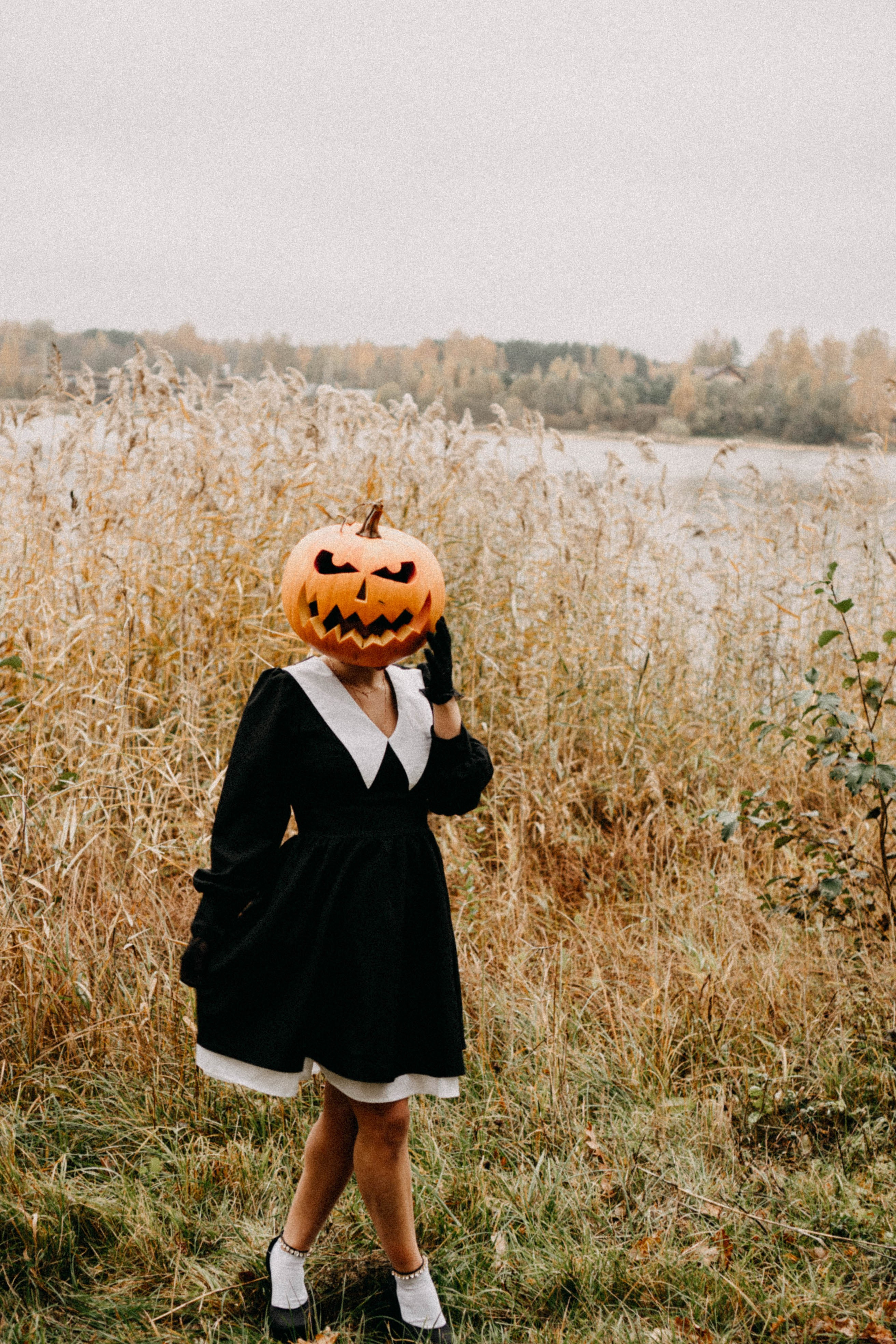 Осеняя. Профессиональный фотограф, Санкт-Петербург — Виктория Богомолова