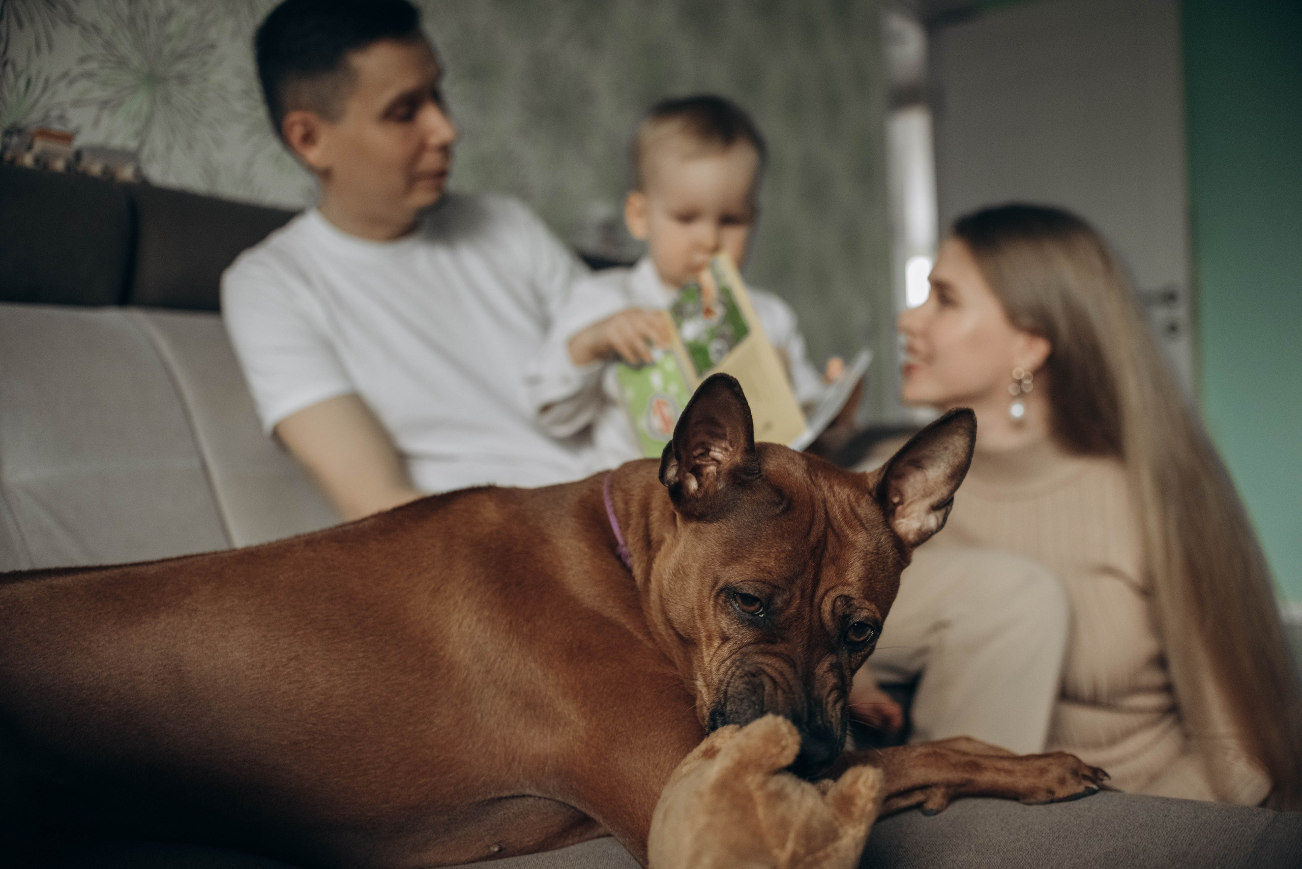 День рождения с лучшим другом. Семейный фотограф в Железнодорожном Масаева Елена