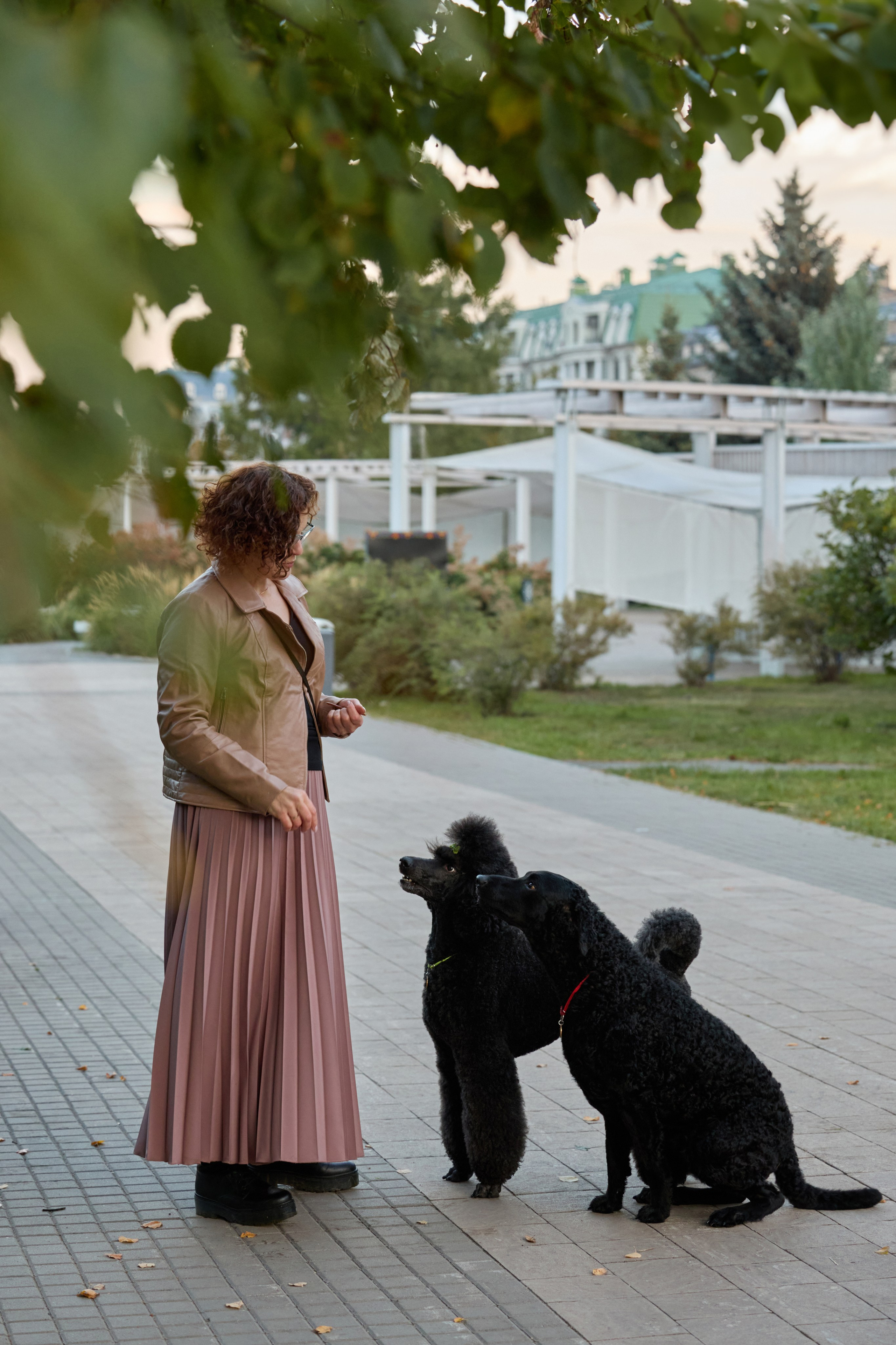 Альбина. Марфа и Мистик. Прогулка в парке. Фотограф анималист в Казани Алина Сулейманова. Фотограф животных