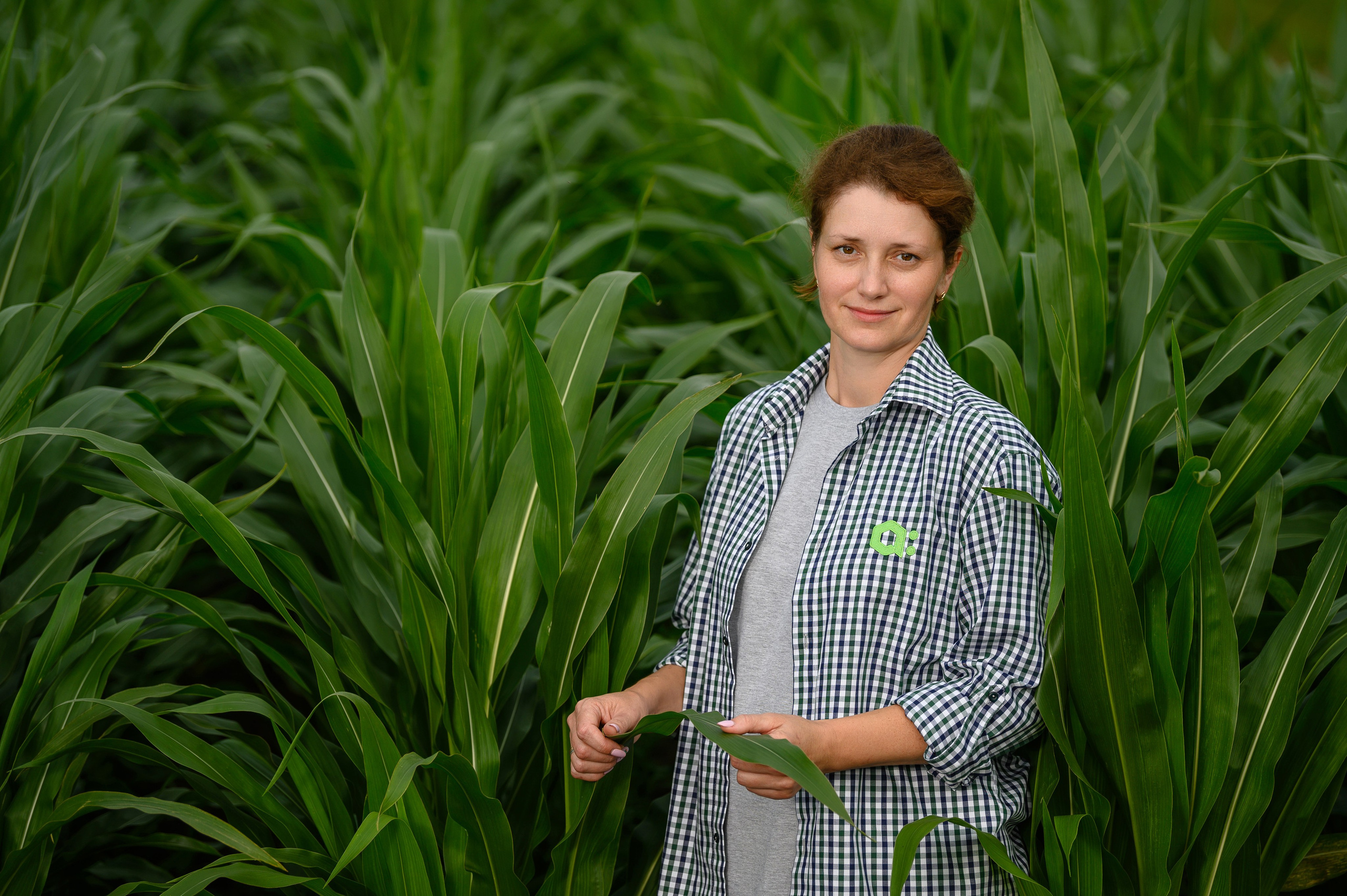 Проекты. Профессиональный фотограф Вячеслав Плацында | Липецк |