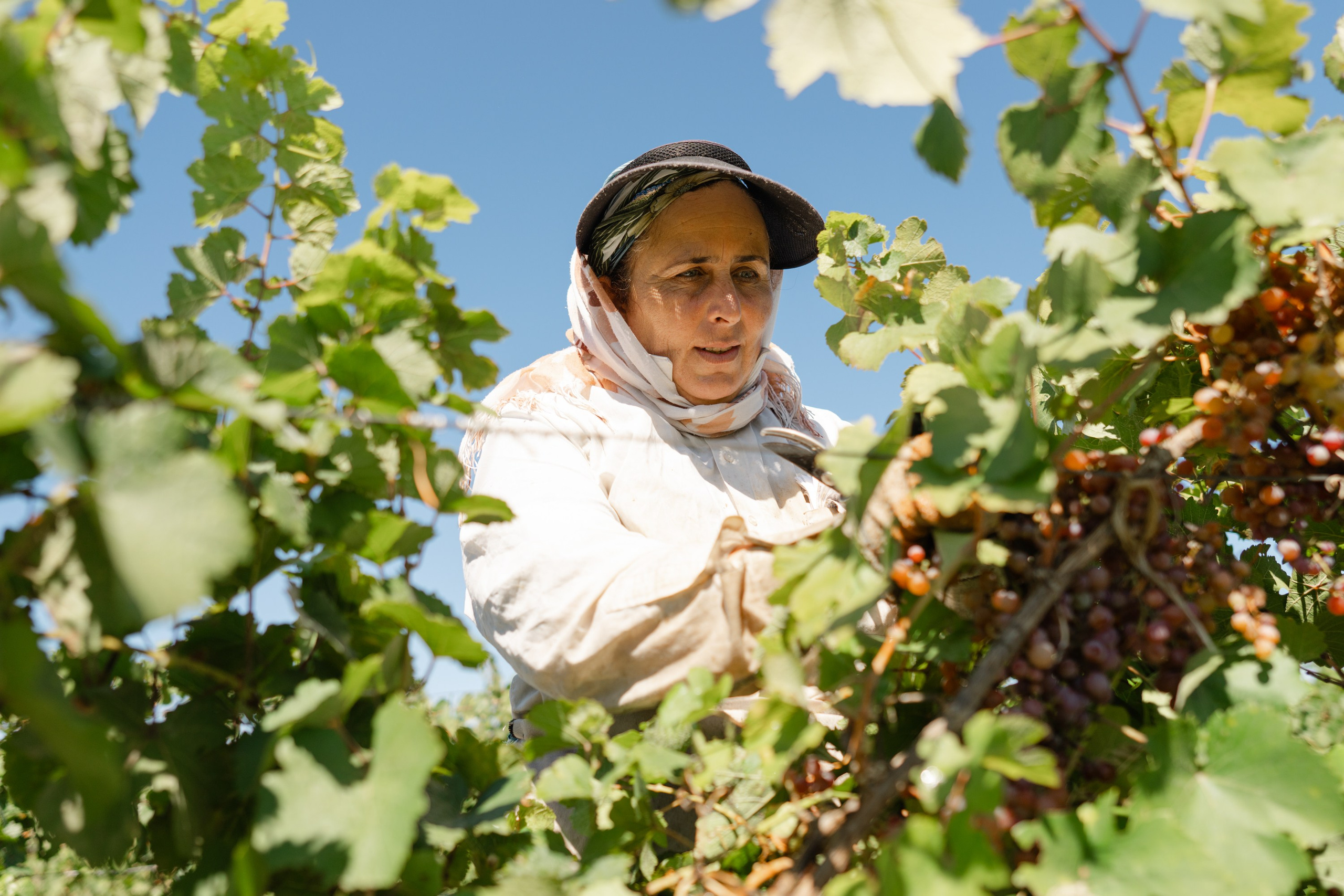 ArbaWine. Адиль Абильтаев|Фотограф|Астана