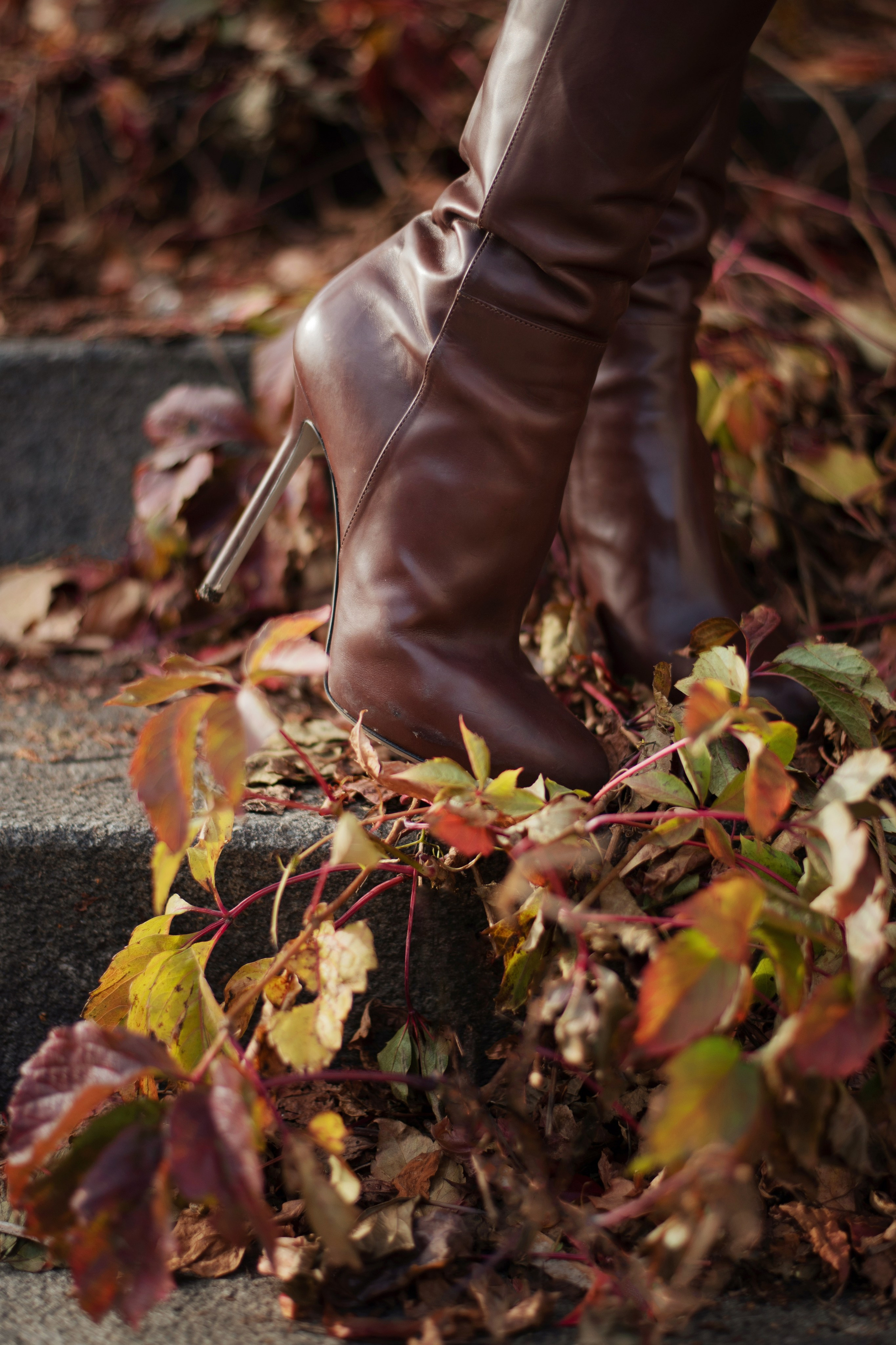 Фотопрогулки (осень). Лина Курочка — ваш фотограф