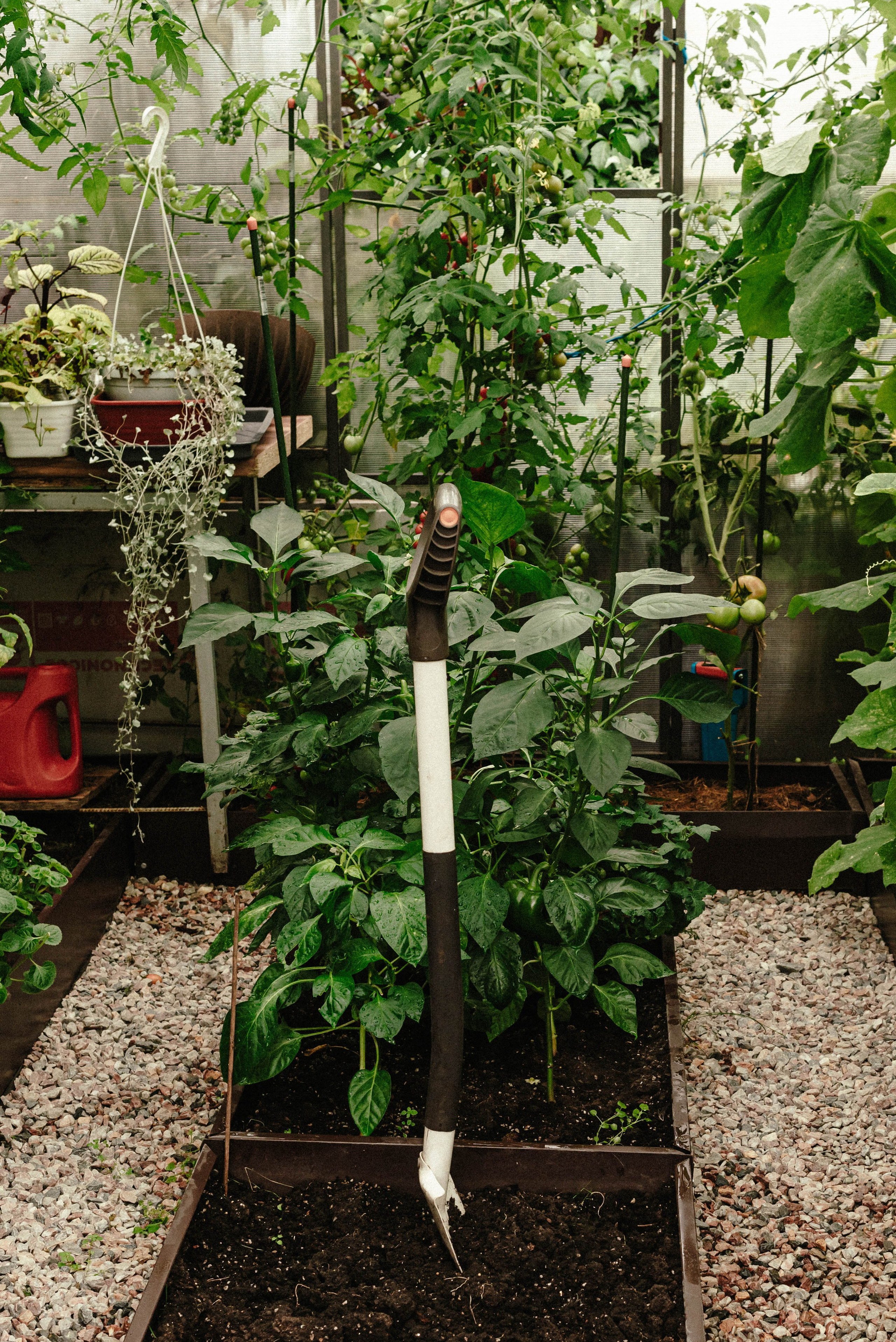 Лесное царство Оксаны. Свадебный и семейный фотограф в Новосибирске, Санкт-Петербурге, Москве