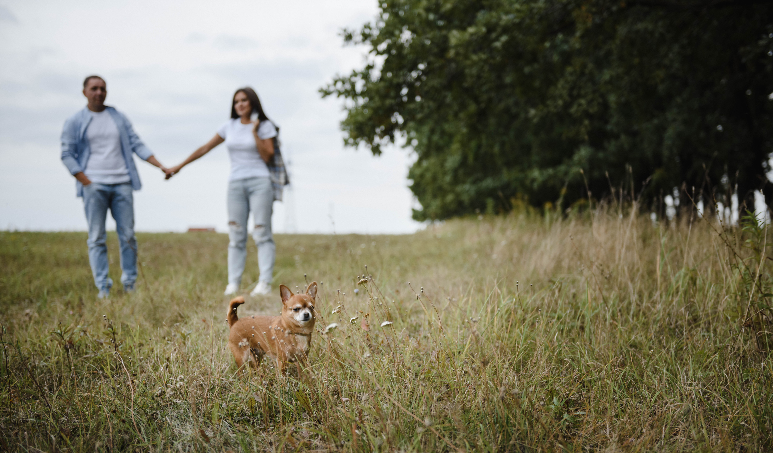 Роман и Надежда. Фотограф в Туле|Москве. Контент-съёмка, женские портреты, репортажные и съёмки для брендов