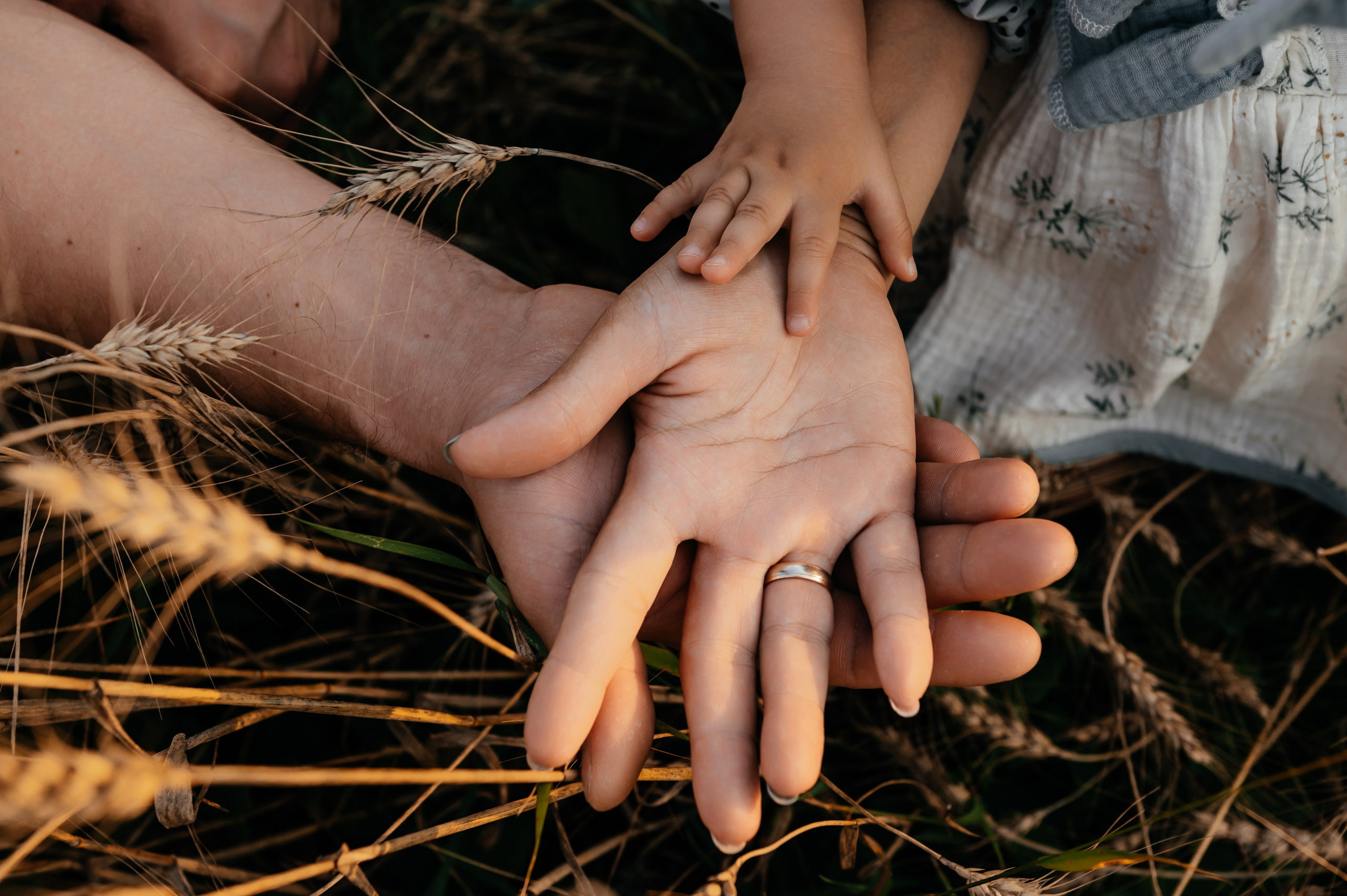 Оля, пшеничное поле в Протасово. Свадебный и семейный фотограф Виктория Носачёва. Щелково, Москва и МО