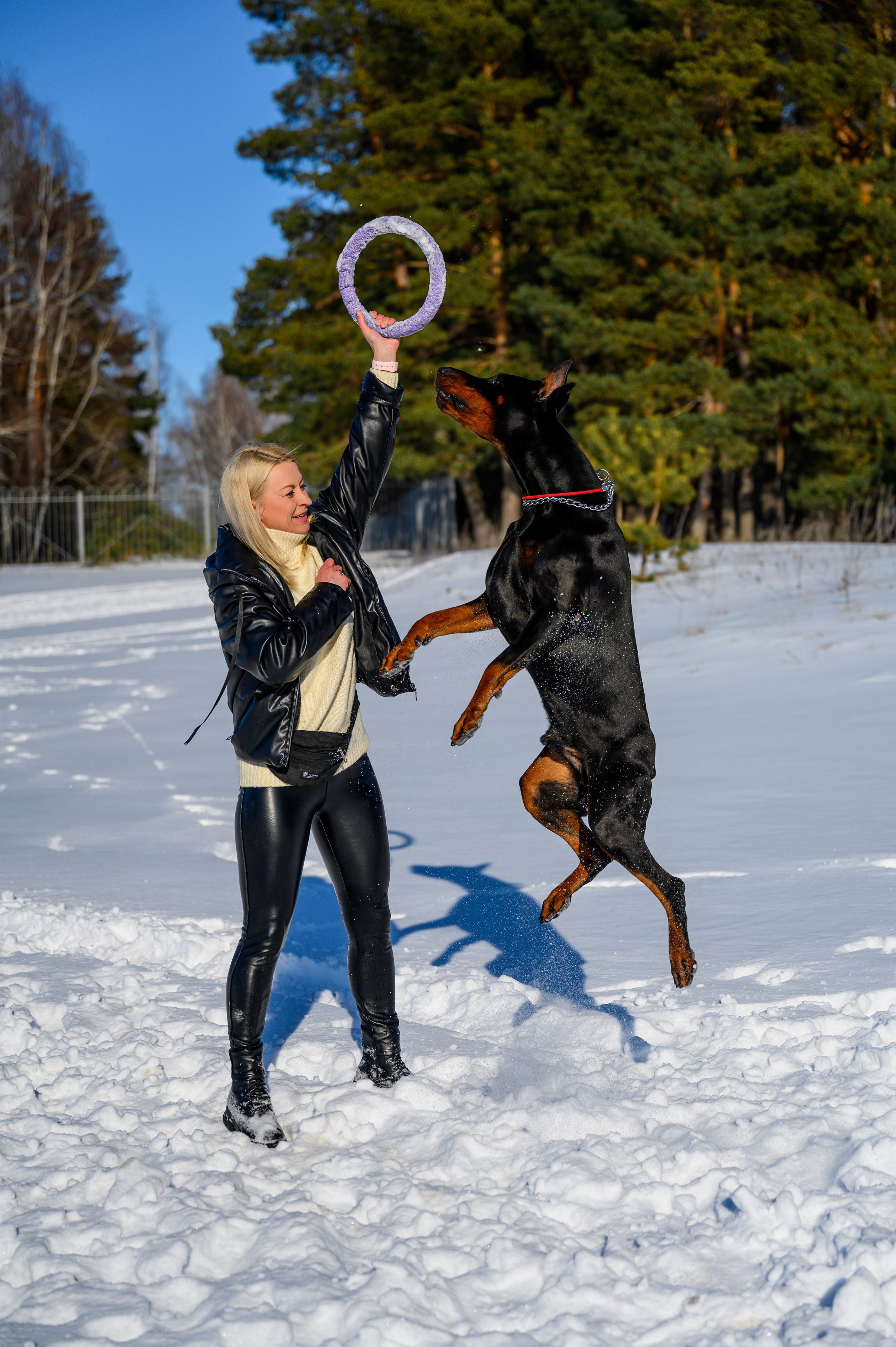 Доберман Рэн. Bazarkom-photo.ru Фотограф Виктор Оськин в Старом Осколе
