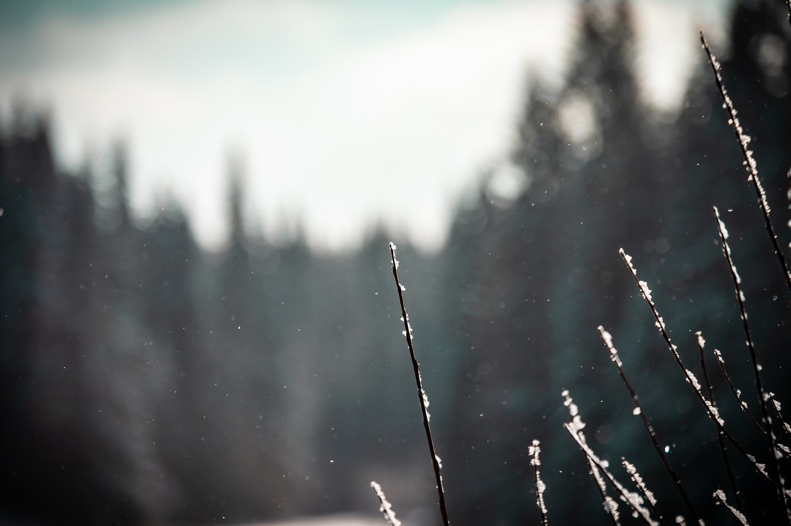 Эстетика еб{деревней}й. Место {не}банальных фото