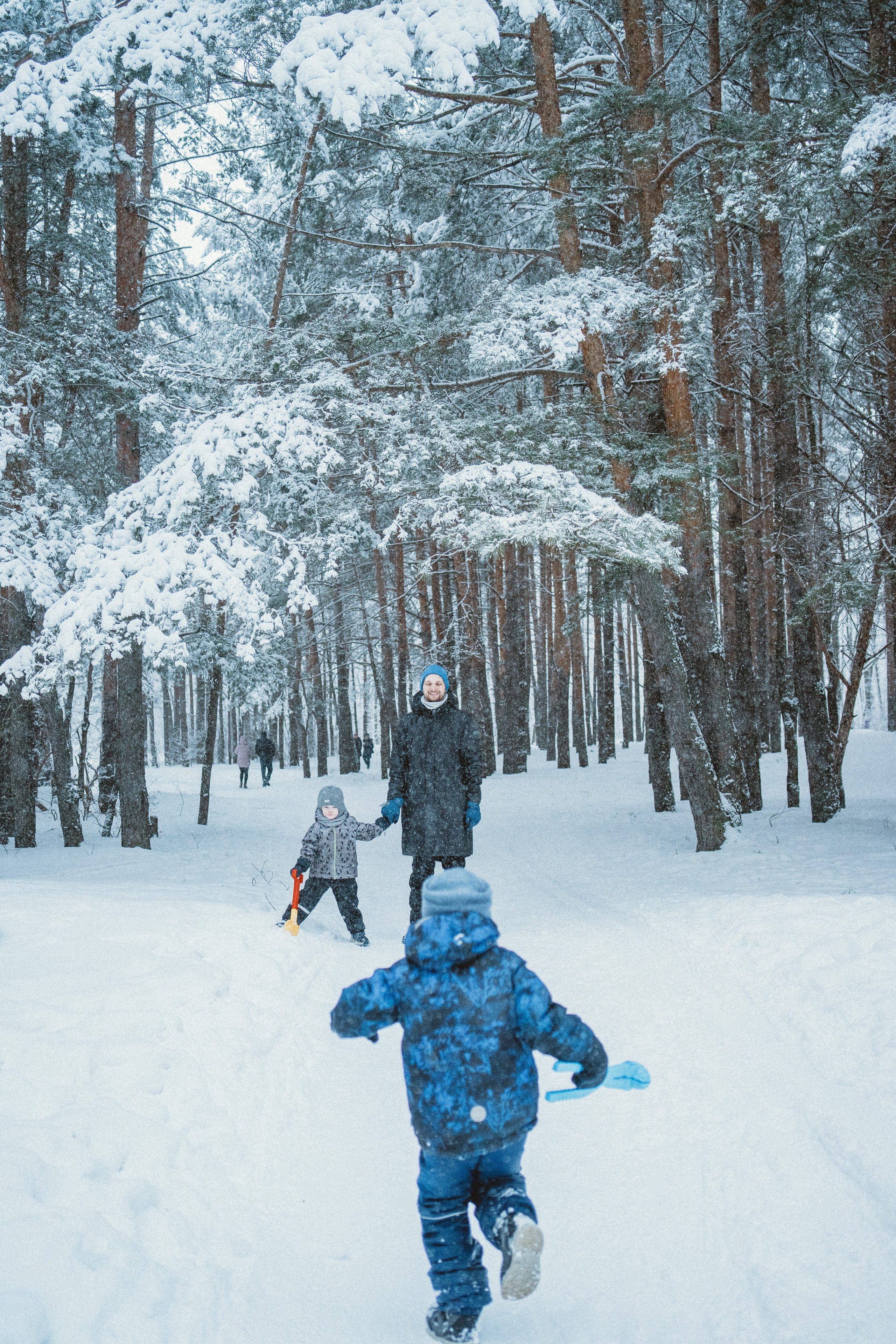 Зимняя прогулка