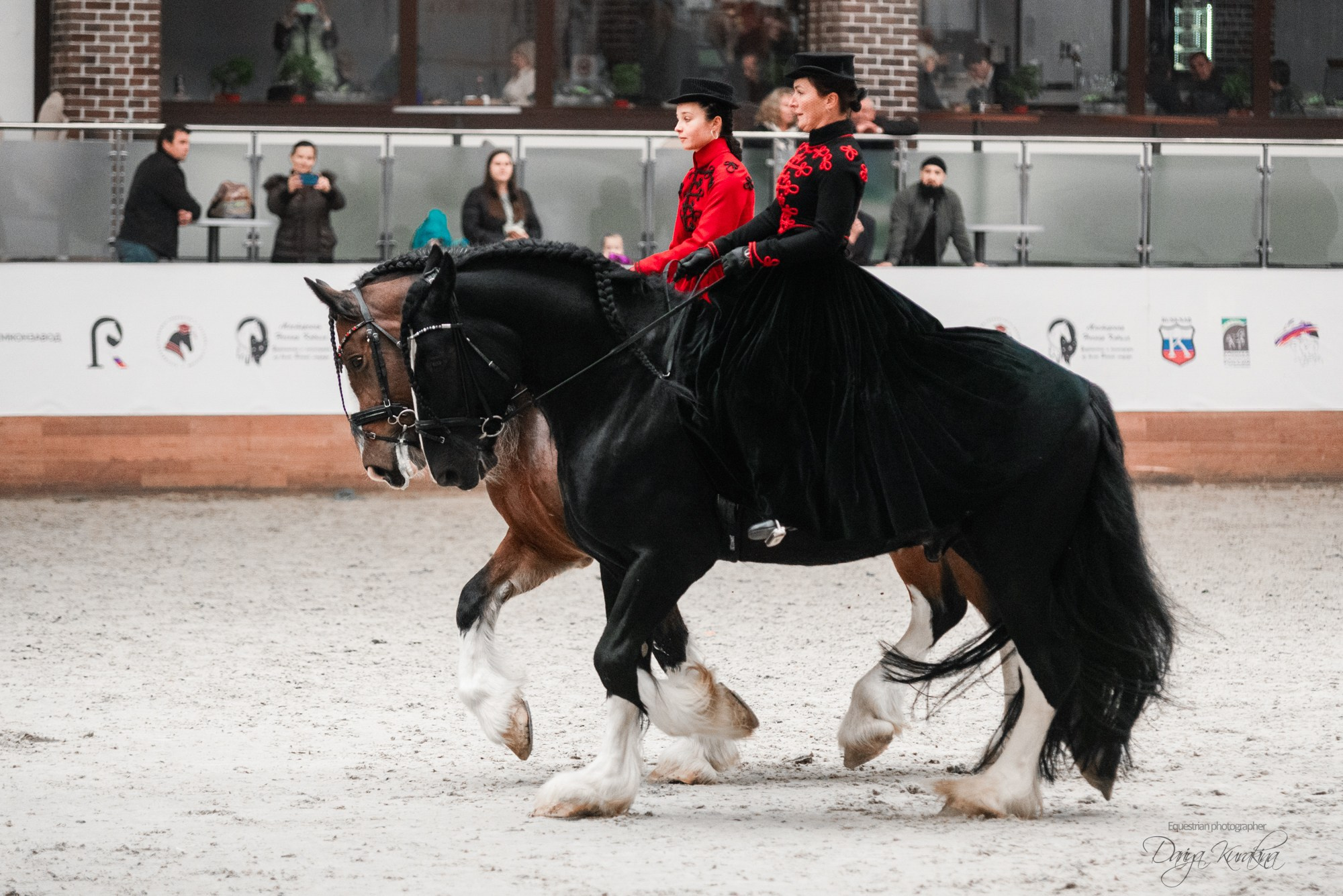 8-я международная выставка Конная Россия. Конный фотограф Куракина Дарья • Фотосессии с лошадьми