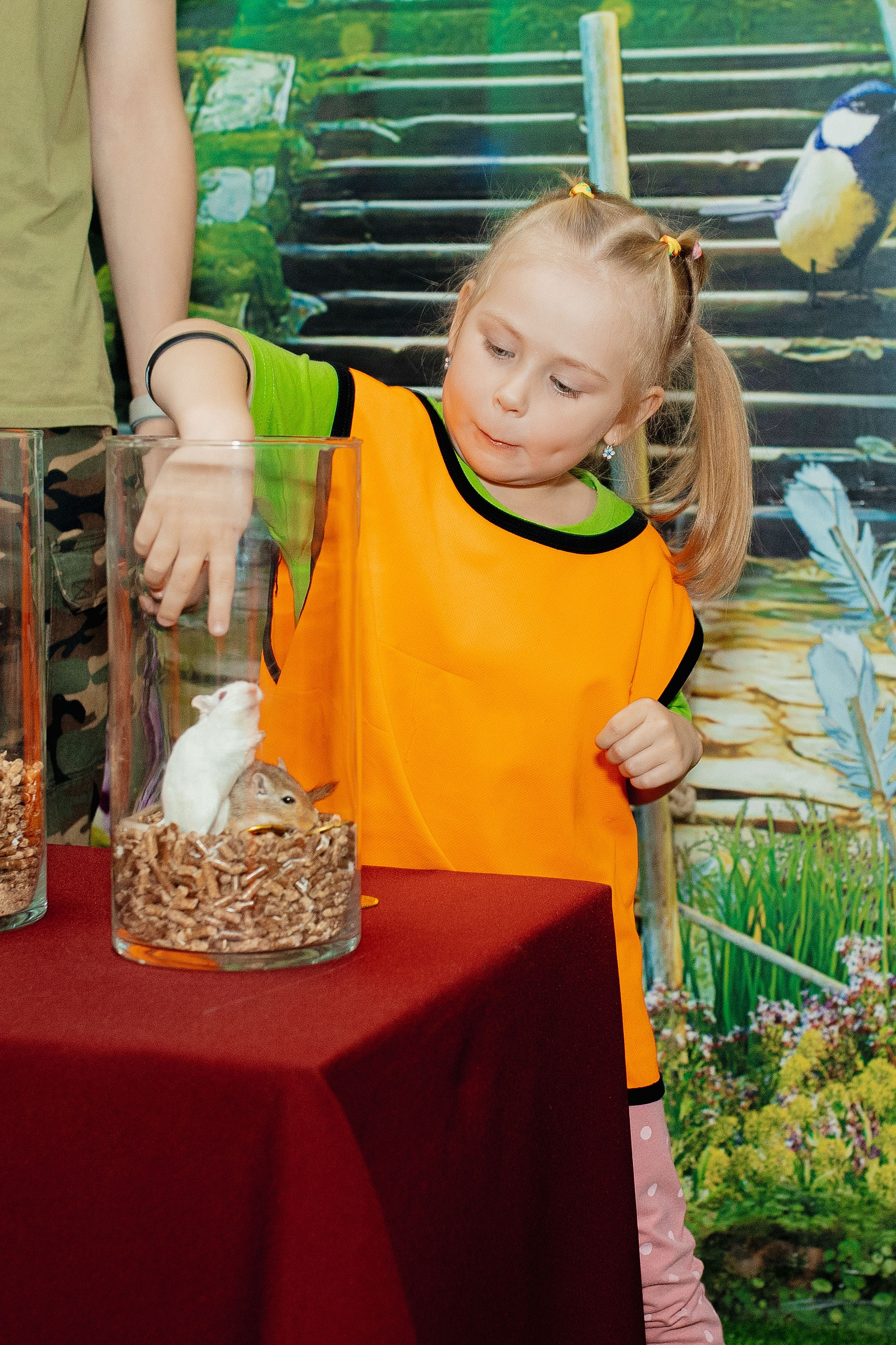 День рождения в Джуманджи. Фотограф в Красноярске по выгодной цене